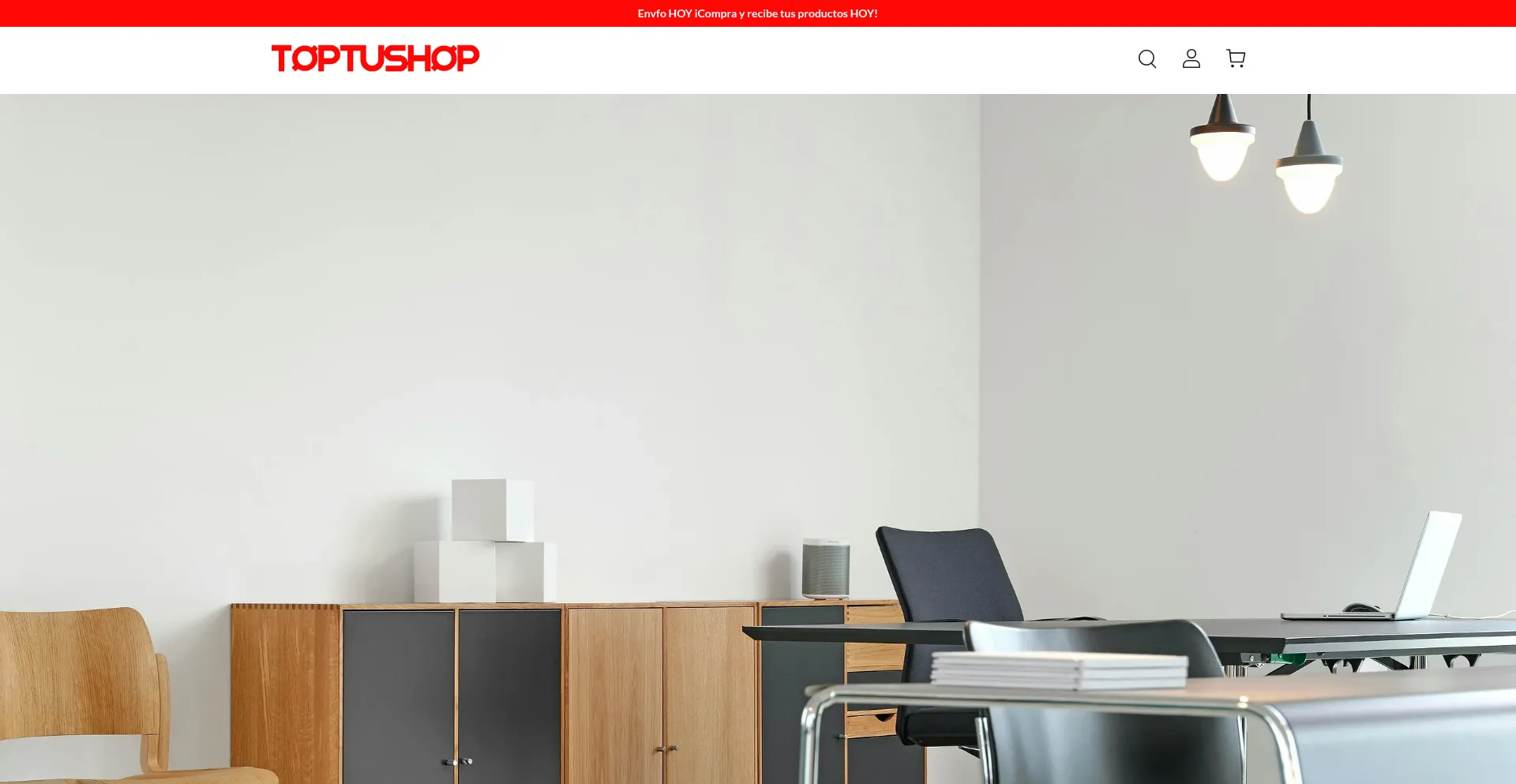 Website screenshot of Oeshop.vip