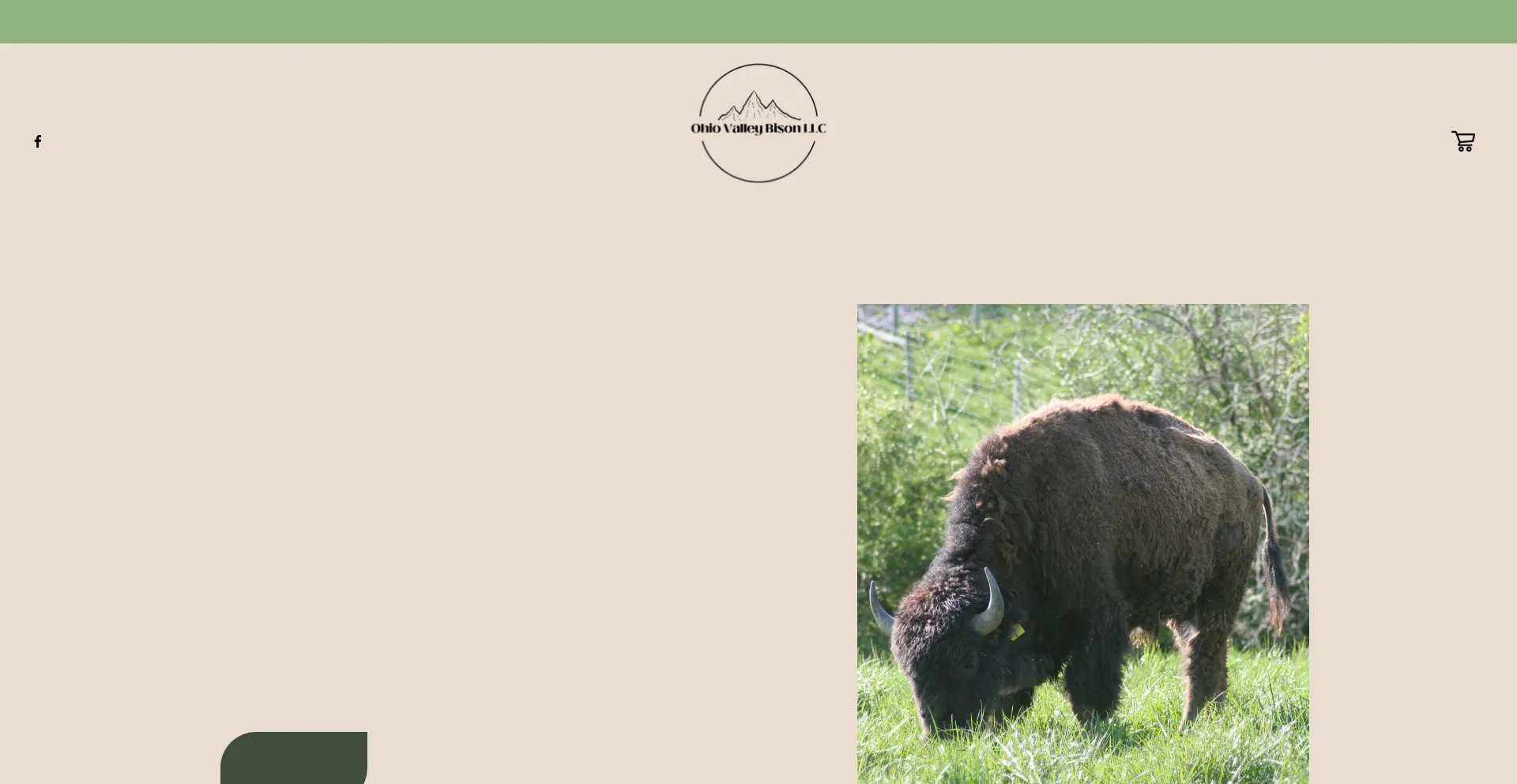 Website screenshot of Ohiovalleybison.com