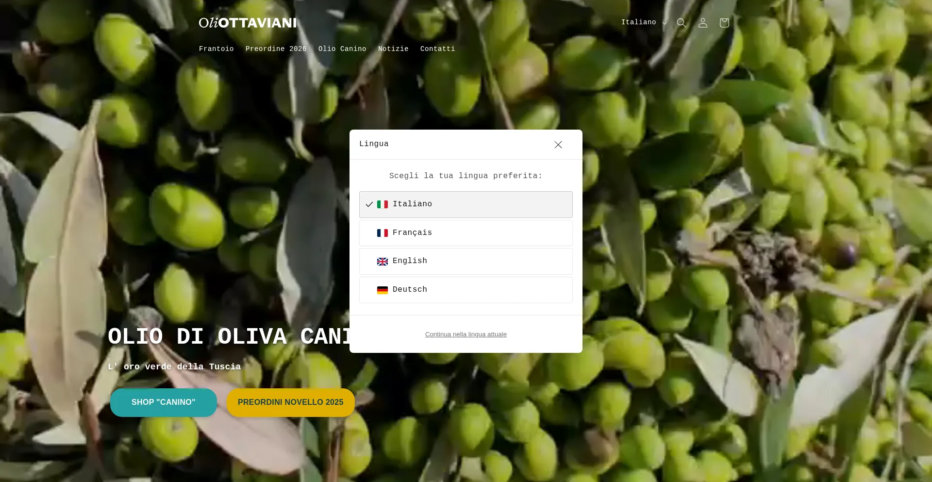 Website screenshot of Oliottaviani.com
