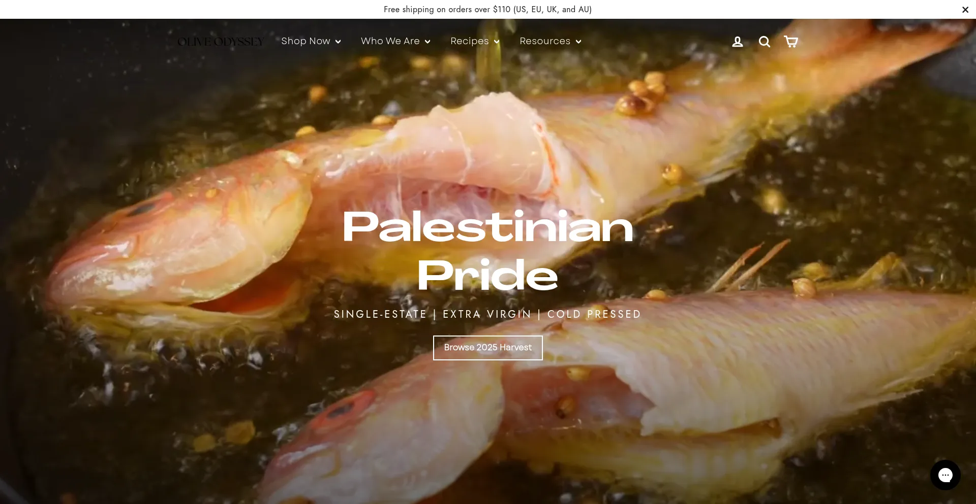 Oliveodyssey.com