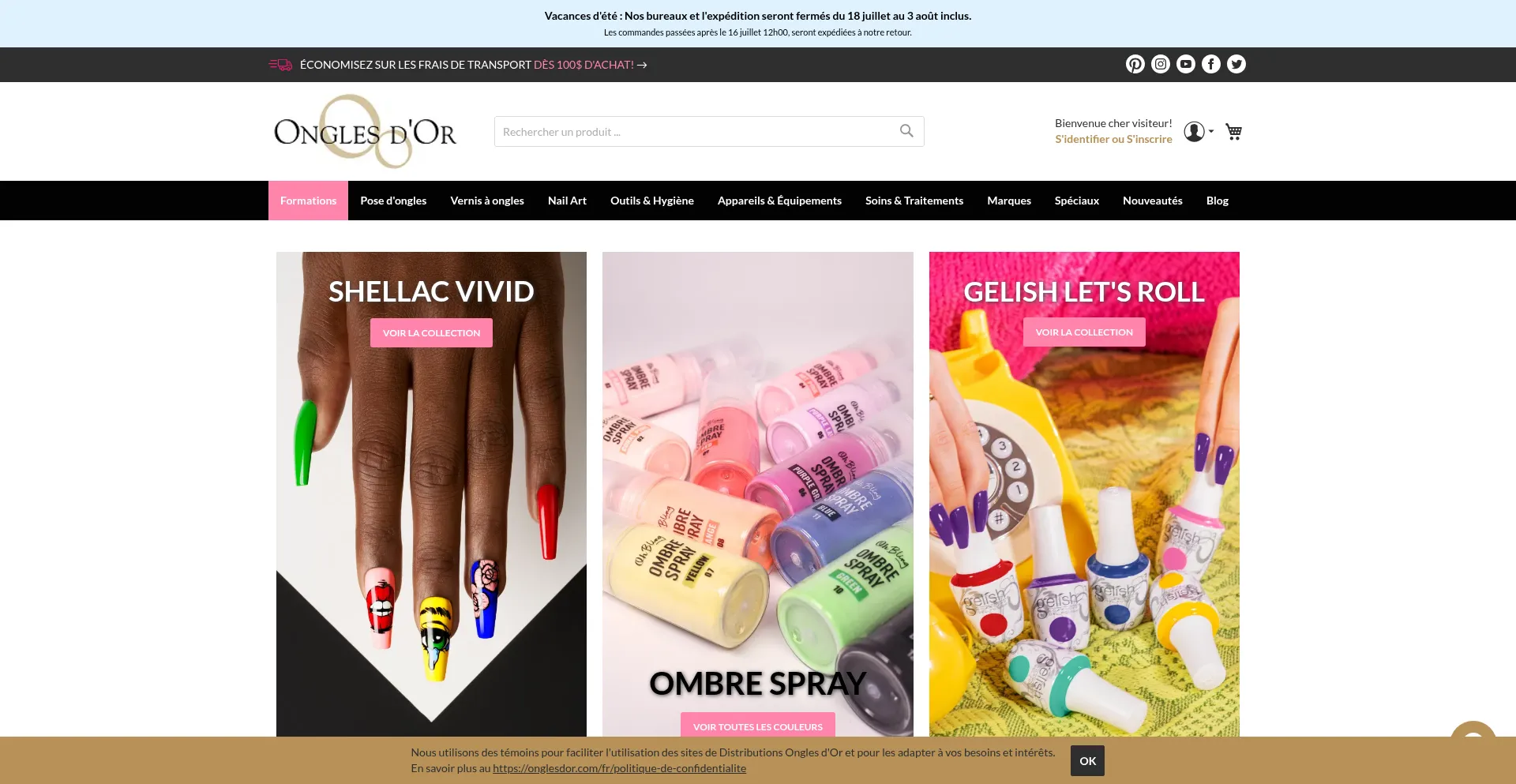 Website screenshot of Onglesdor.com