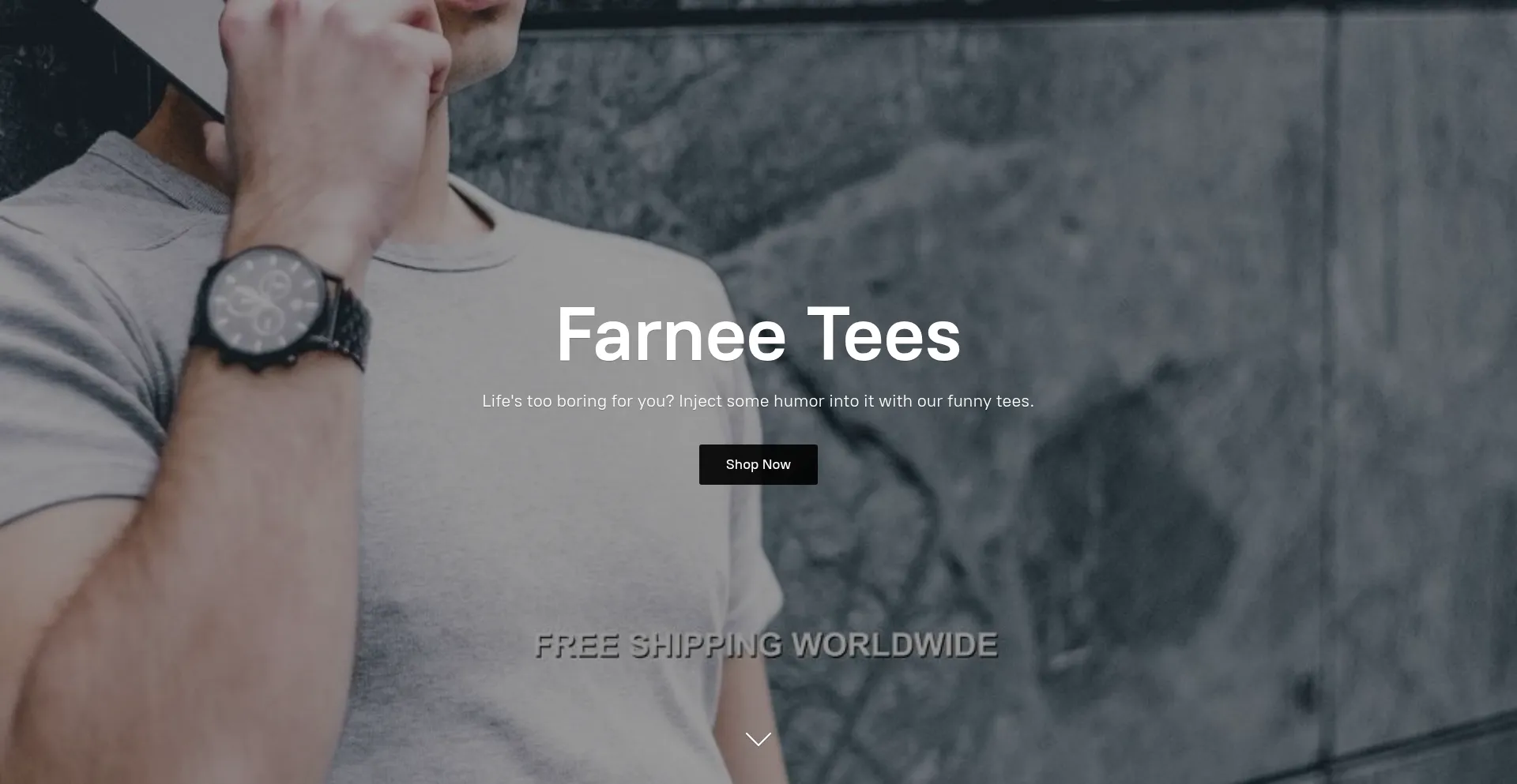 Website screenshot of Onschuhen.com