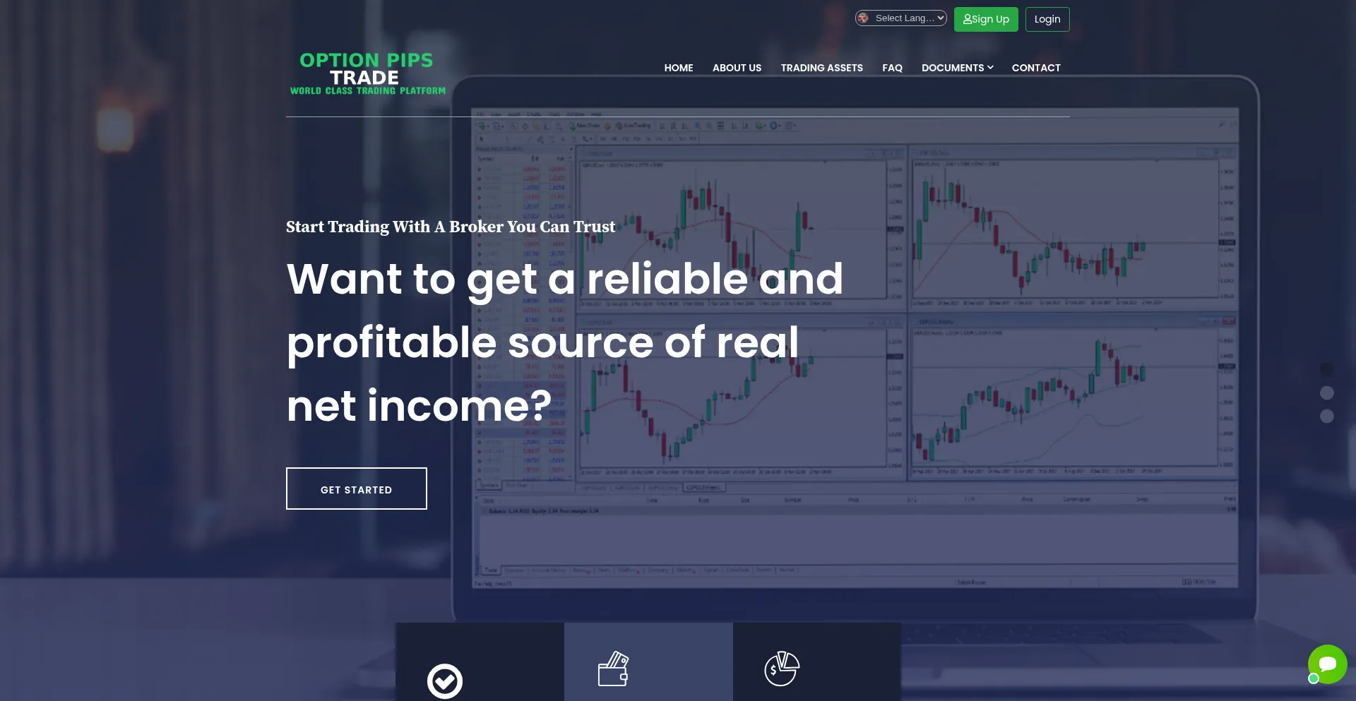 Website screenshot of Optionpipstrade.com