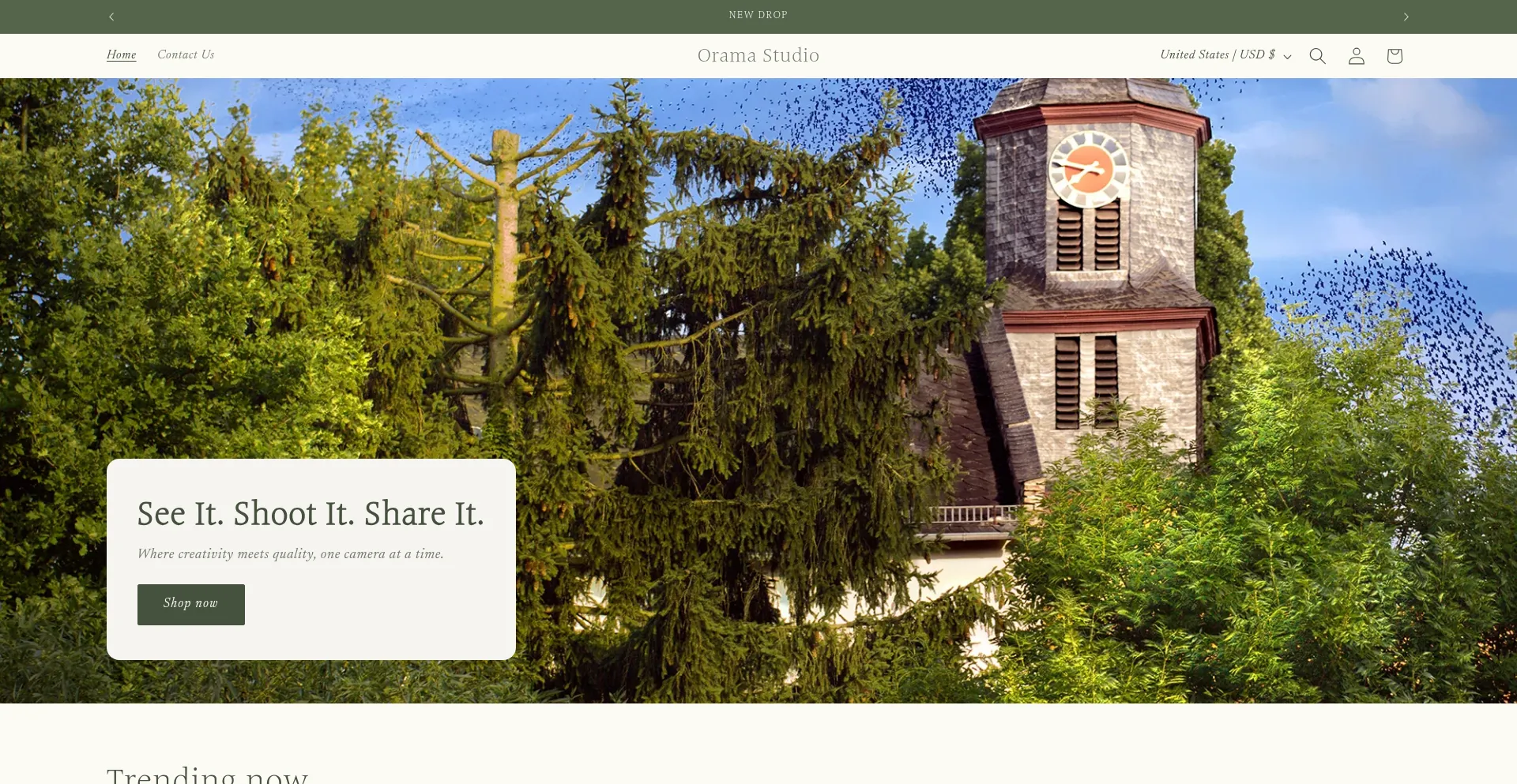 Website screenshot of Oramastudio.myshopify.com