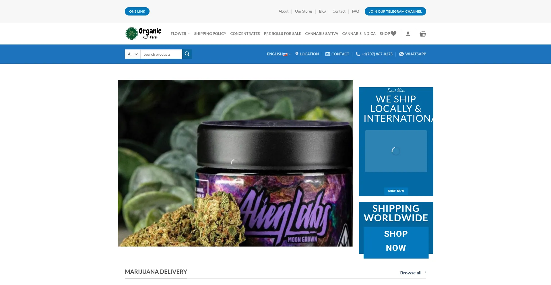 Website screenshot of Organickushfarm.com