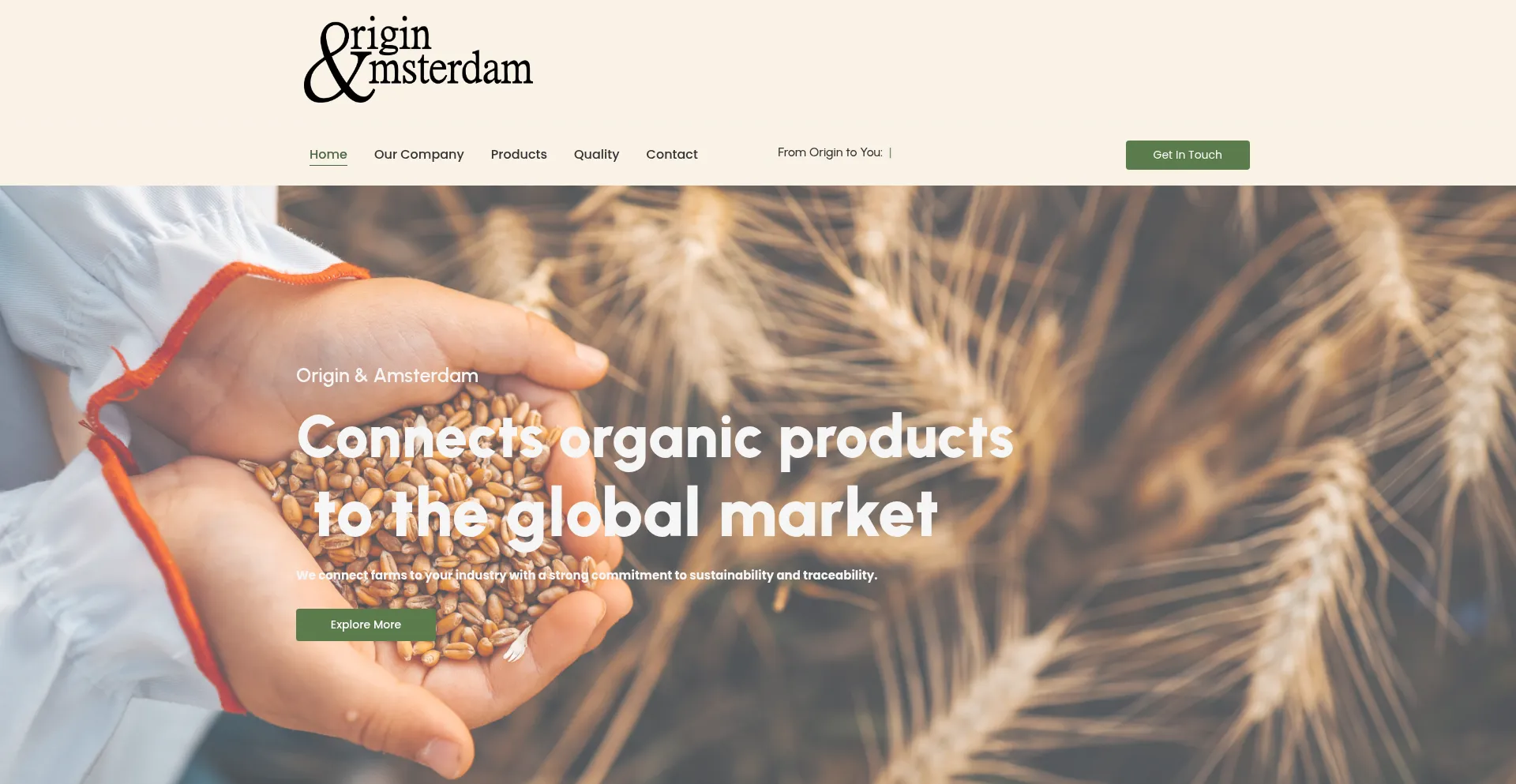 Origin-amsterdam.com est-il Sûr et Fiable ?