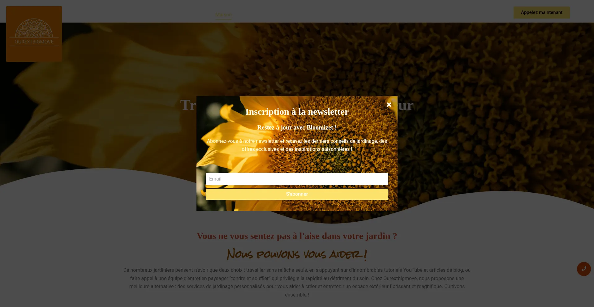 Website screenshot of Ourextbigmove.com