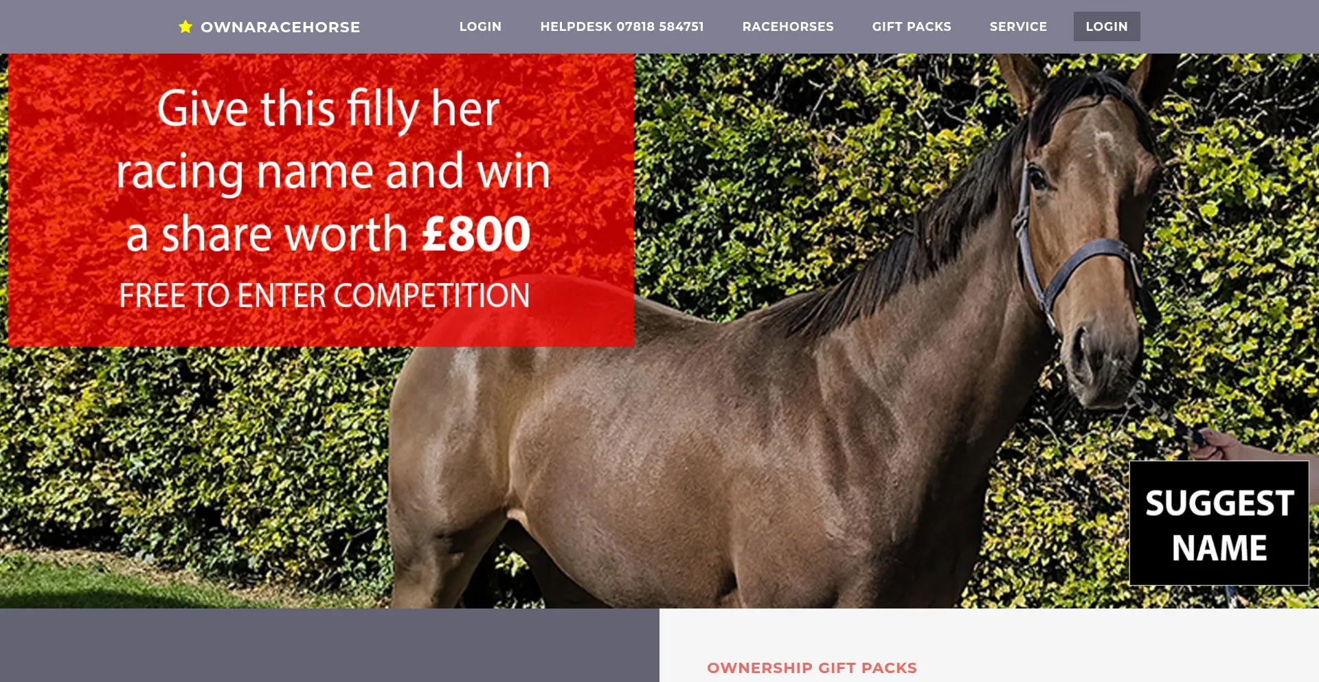 Ownaracehorse.co.uk Screenshot