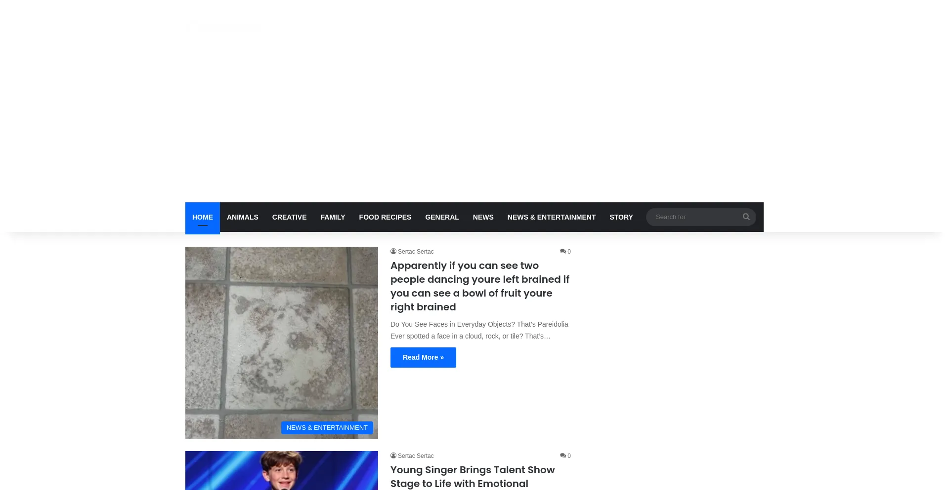 Website screenshot of Ozgunhaberler.com
