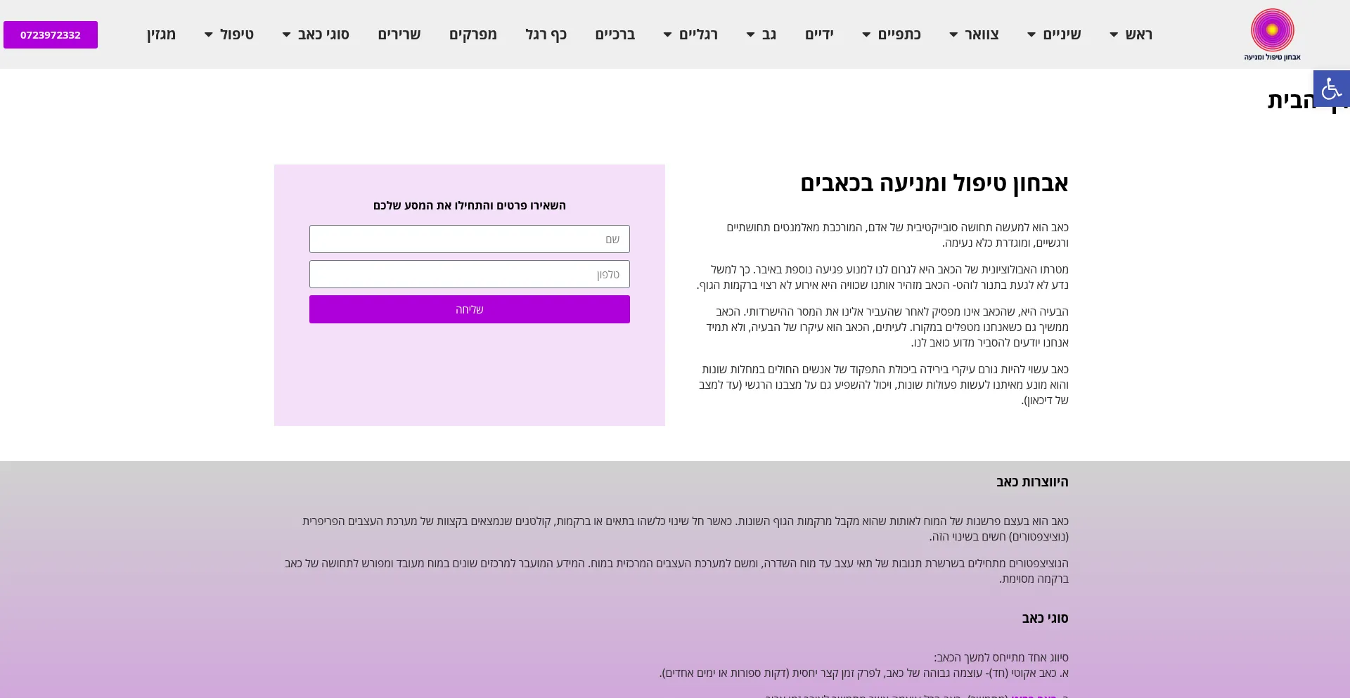 Website screenshot of Pain.org.il