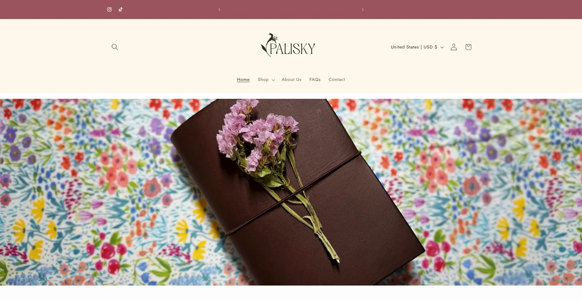 Website screenshot of Palisky.com