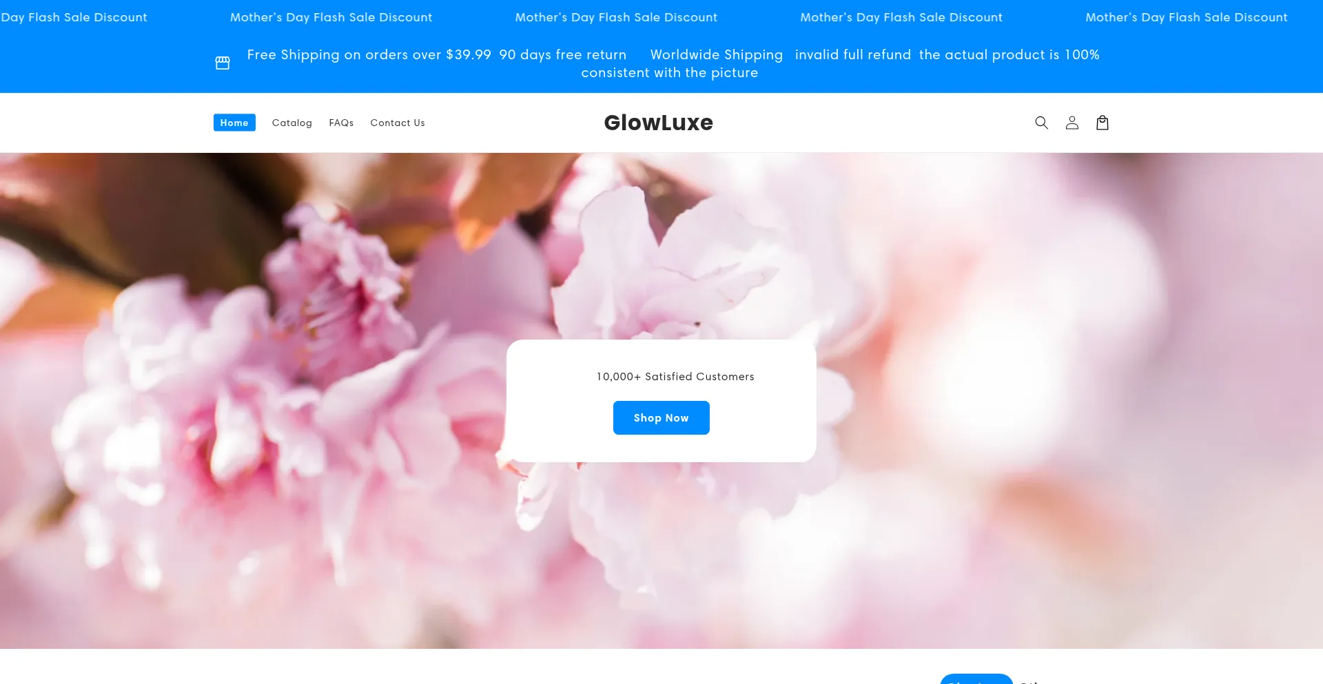 Website screenshot of Palmction.com