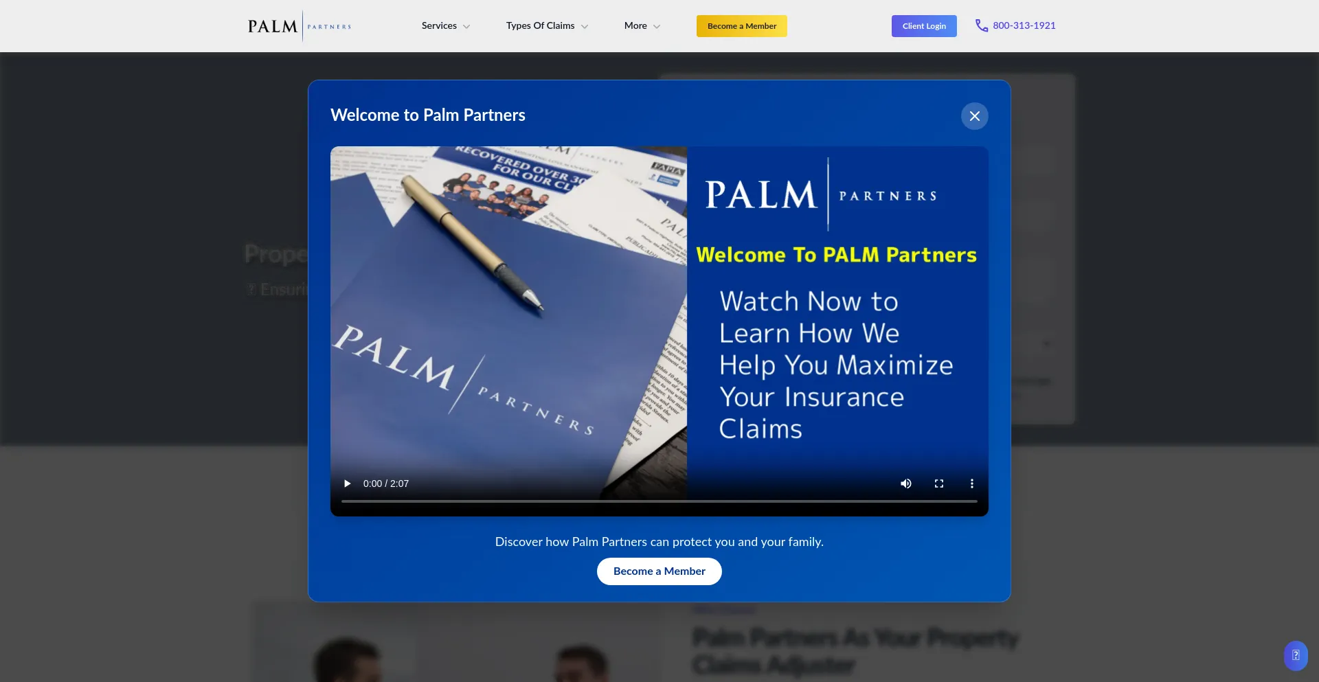 Website screenshot of Palmpts.com