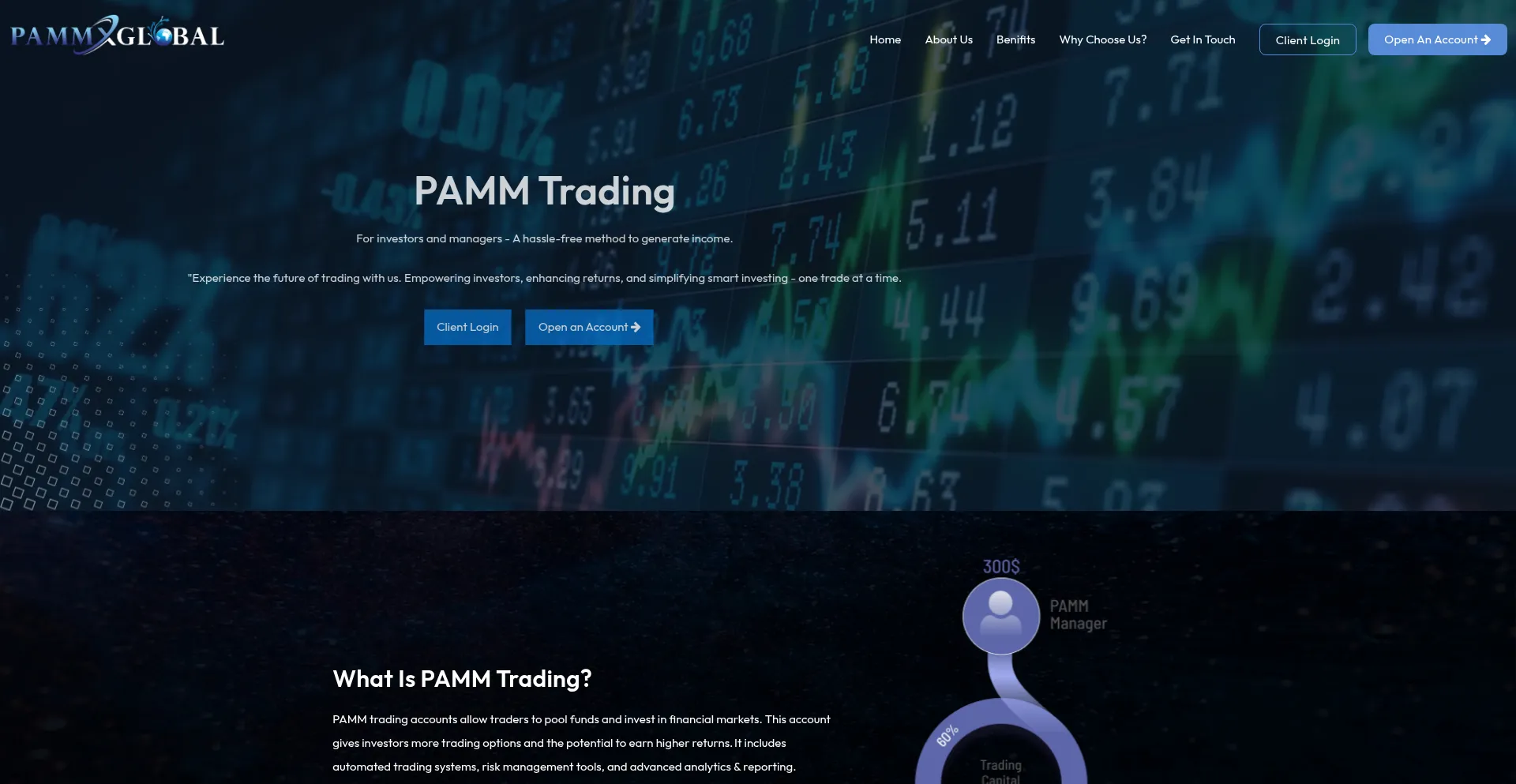 Website screenshot of Pammxglobal.com