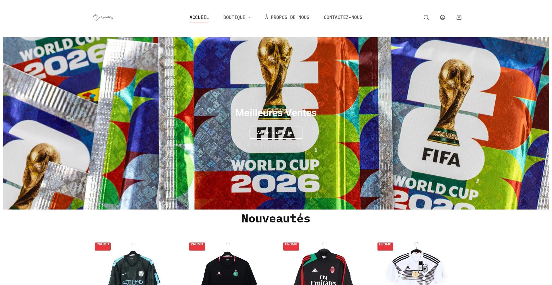 Paninistar.com