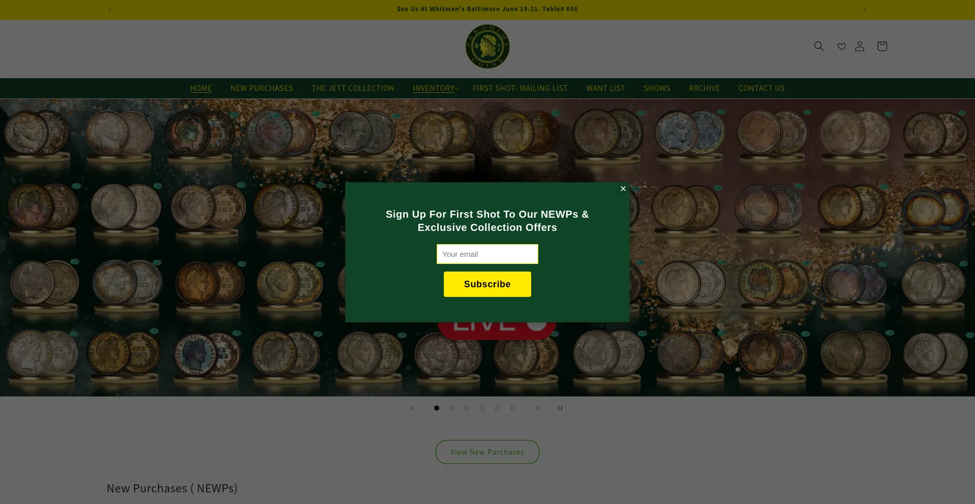 Website screenshot of Paradimecoins.com