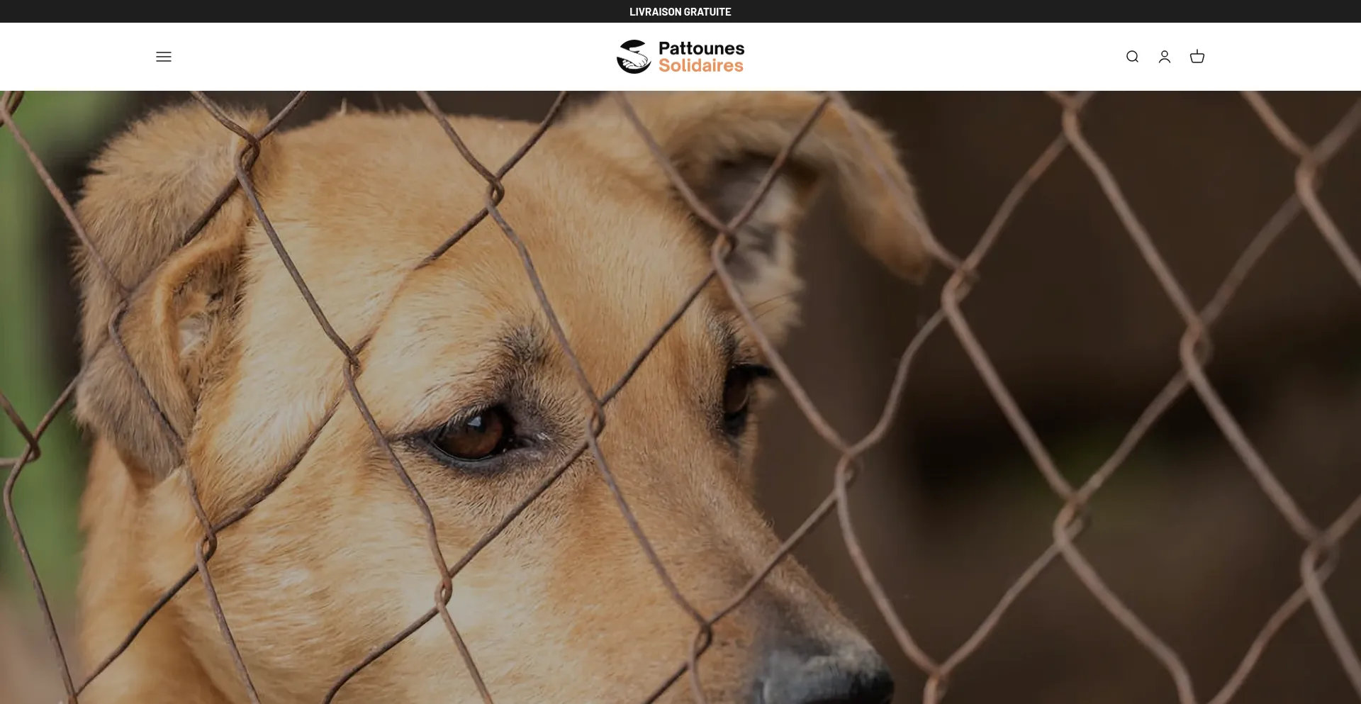 Pattounes-solidaires.com est-il Sûr et Fiable ?