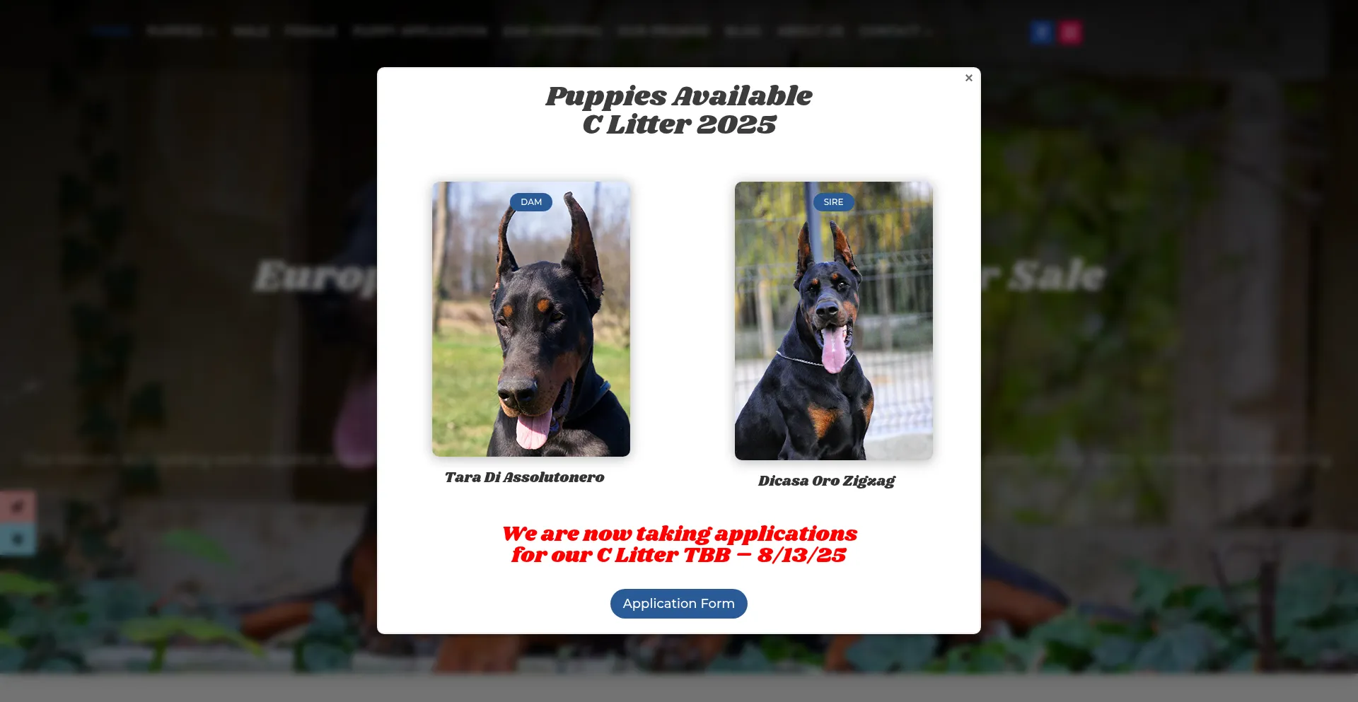 Pauldobermankennel.com est-il Sûr et Fiable ?