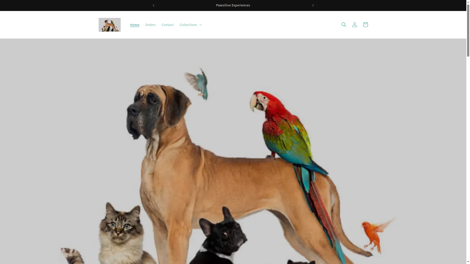 Pawsitiveexperiences.org