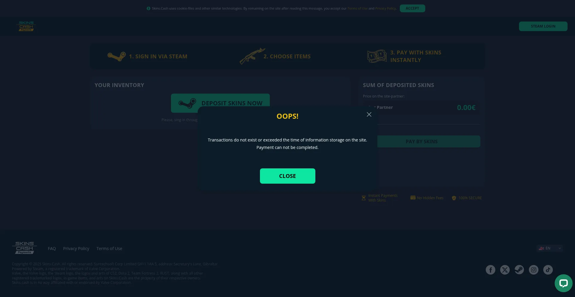 Website screenshot of Pay.skins.cash