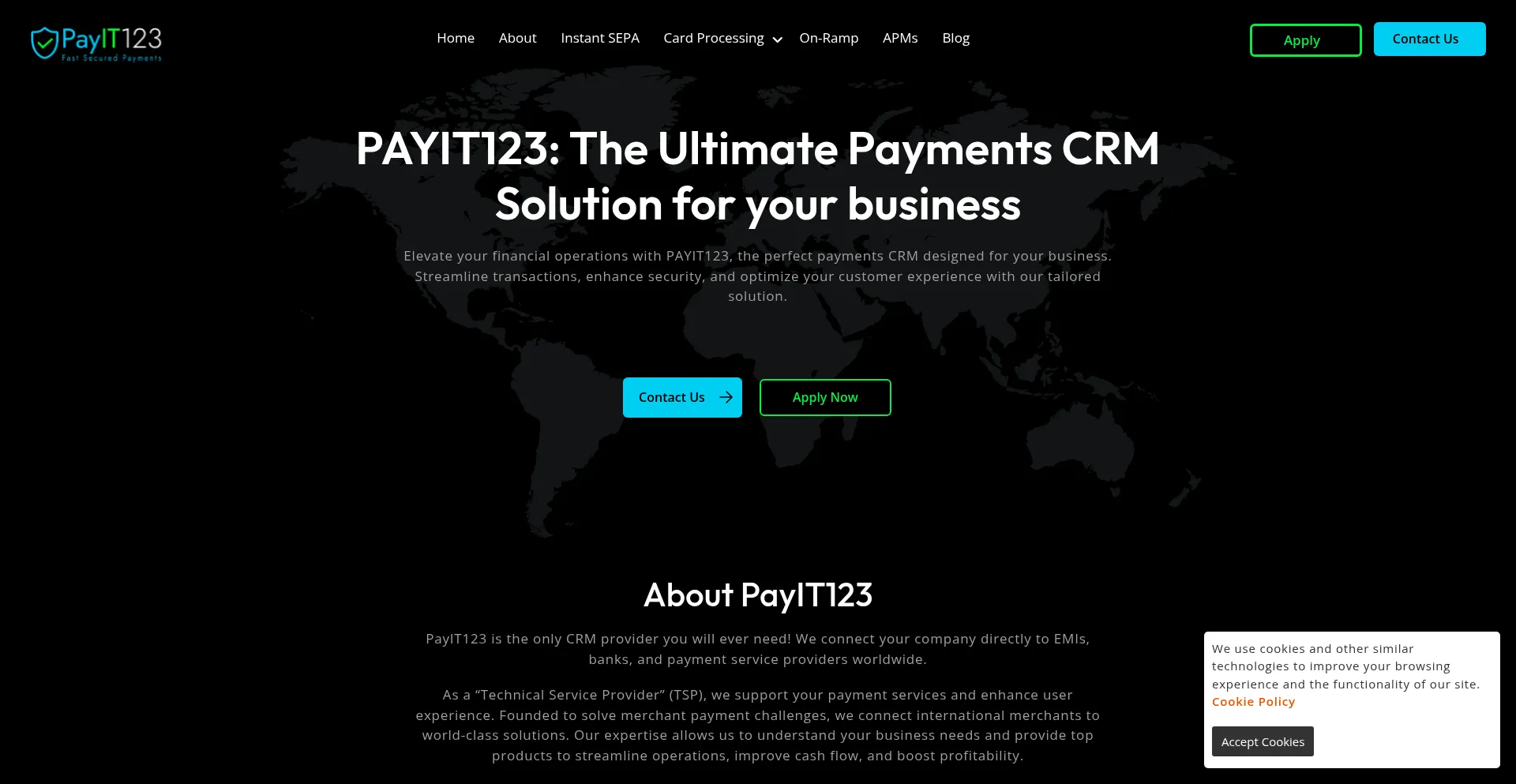 Website screenshot of Payit123.com