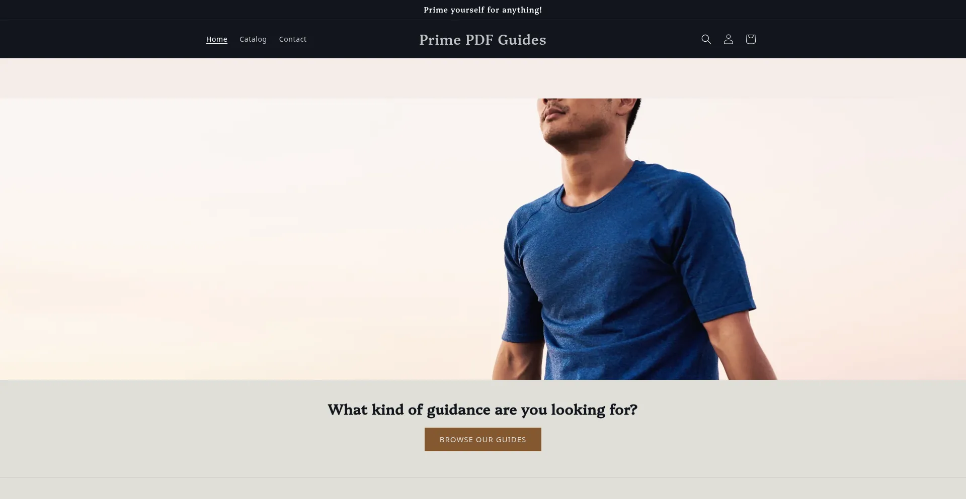 Pdfprimer.com