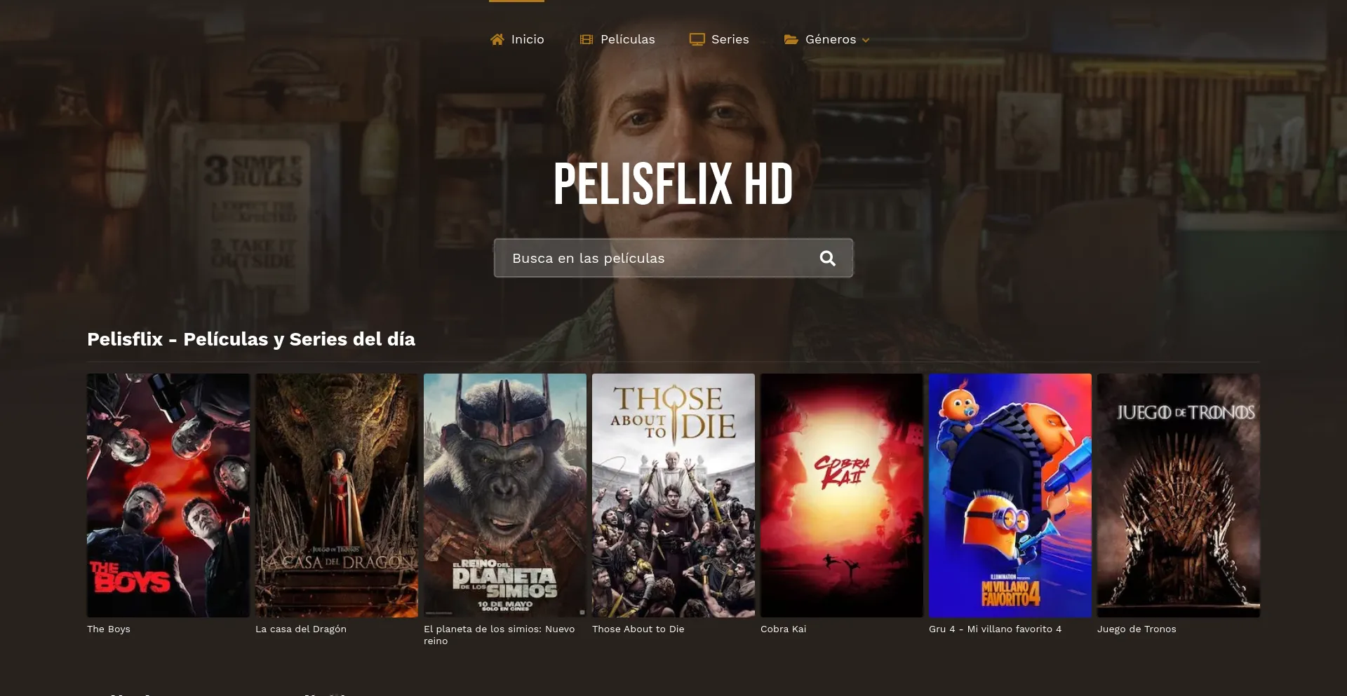 Pelisflix.rip Avis | Rapport d'analyse