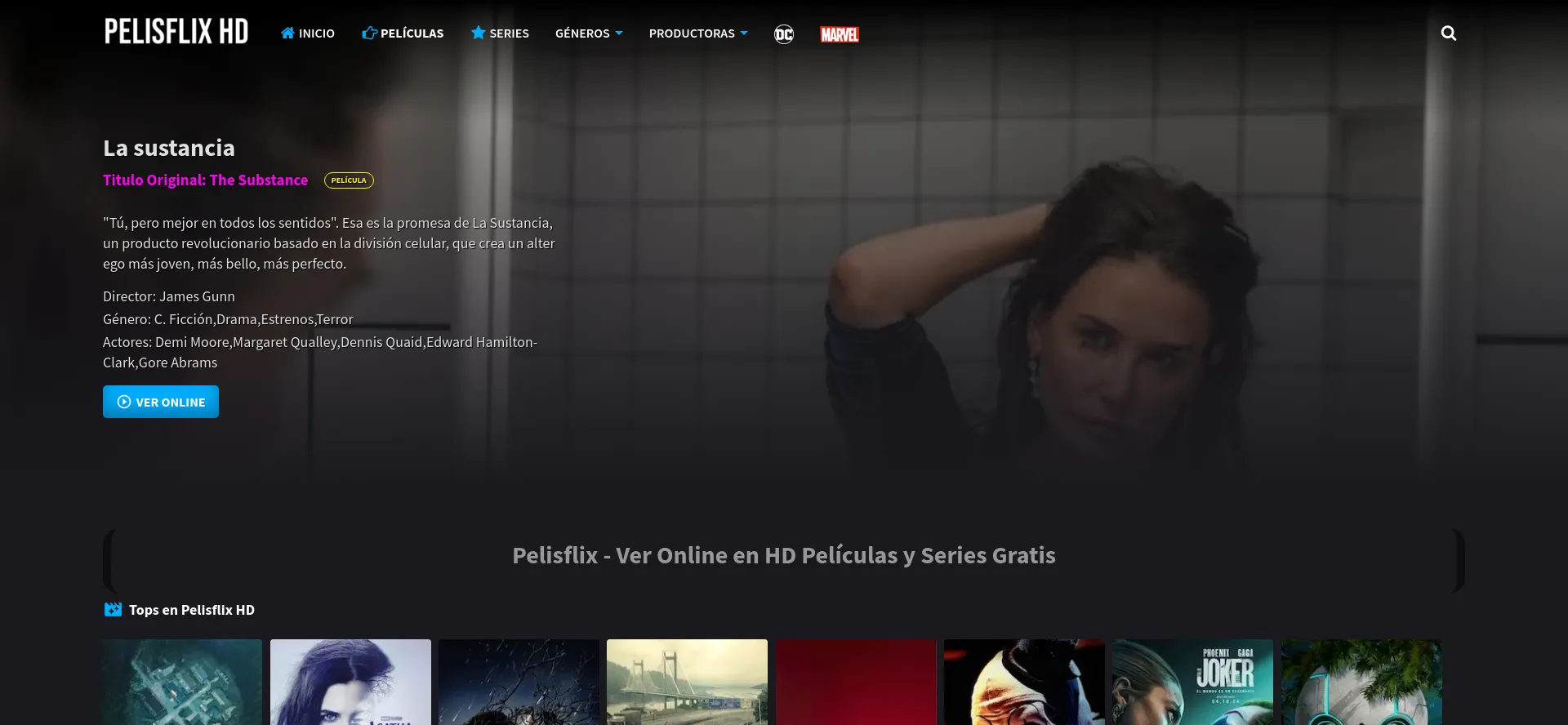 Website screenshot of Pelisflixhd.vip