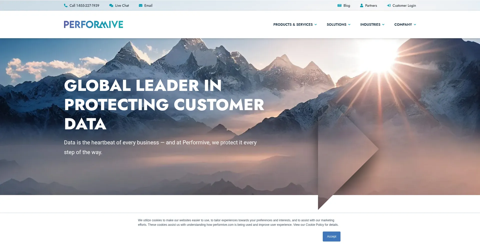 Website screenshot of Performive.com