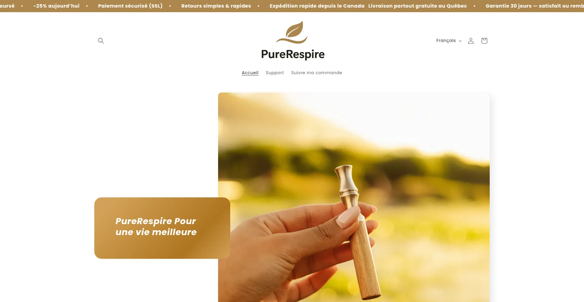 Perlebrush.ca est-il Sûr et Fiable ?