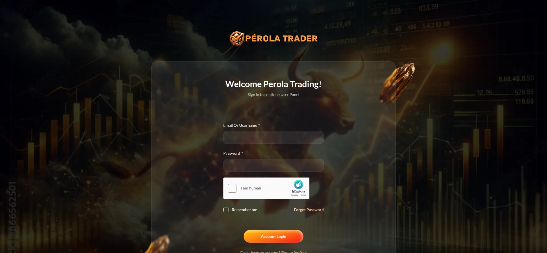 Perolatrader.com