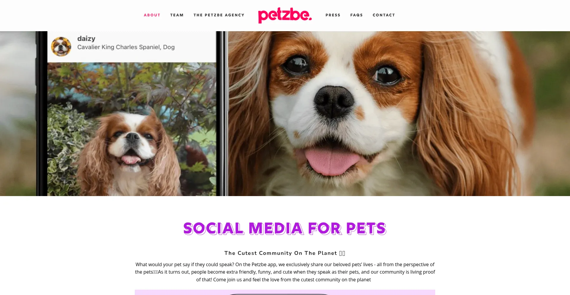Website screenshot of Petzbe.com