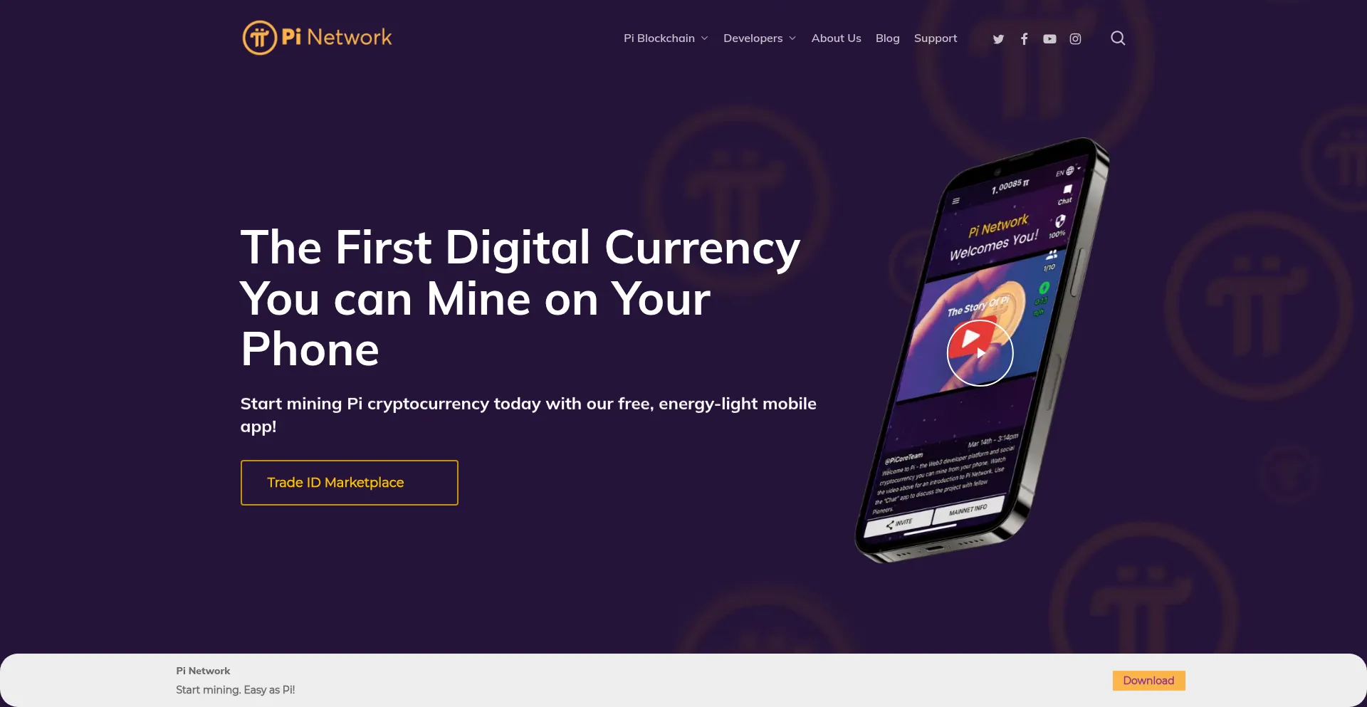 Pinetradeicon.online