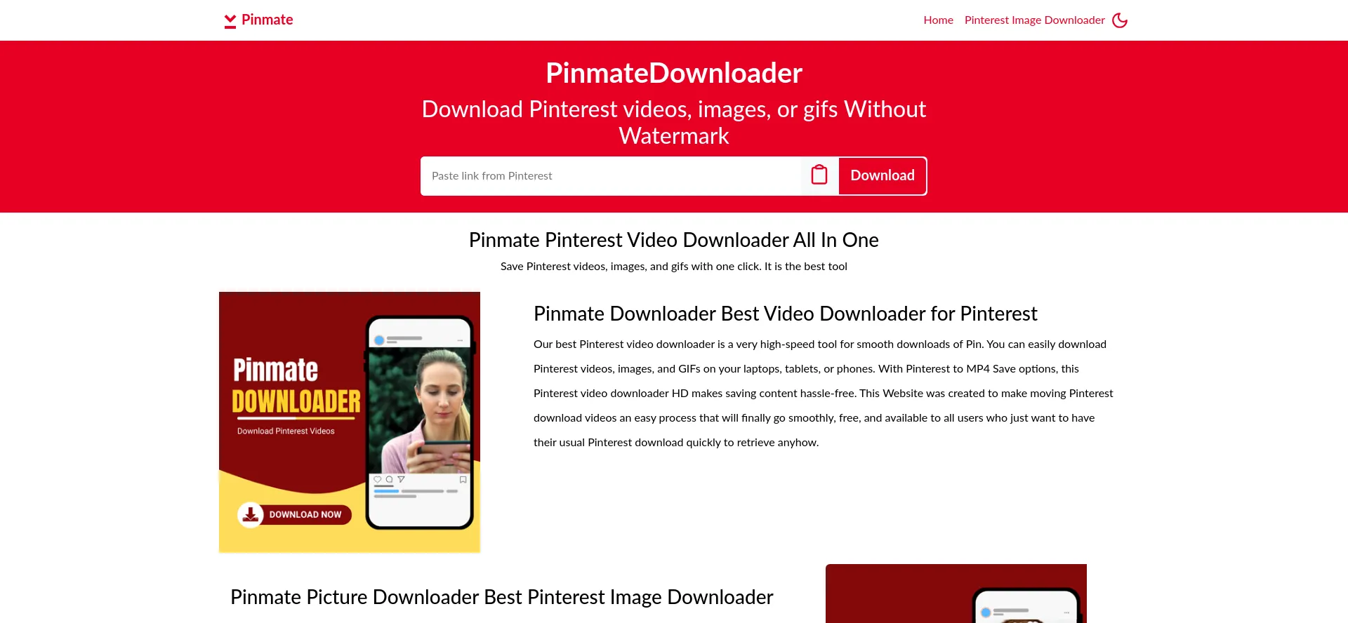 Pinmatedownloader.com