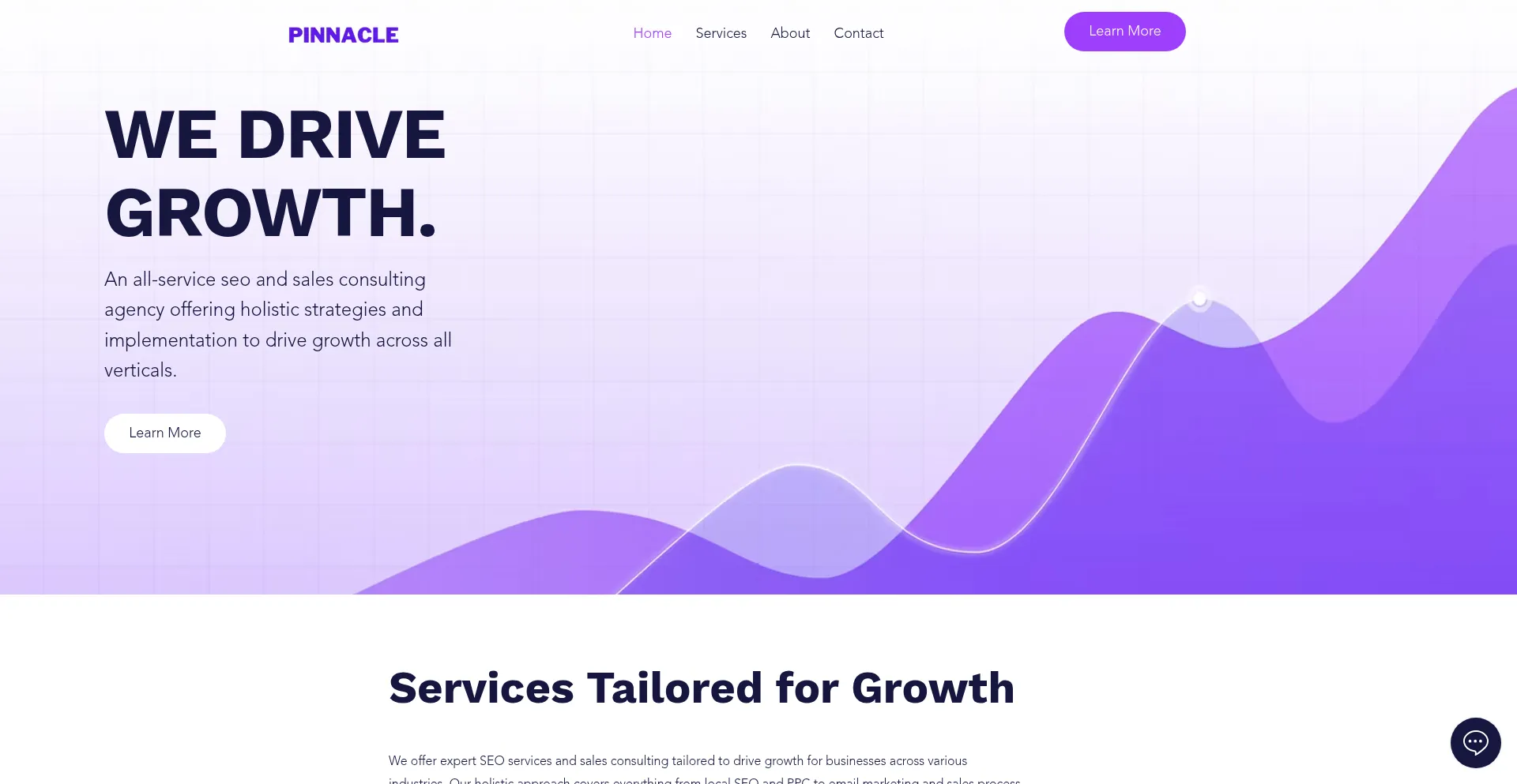 Pinnaclemarketing.co