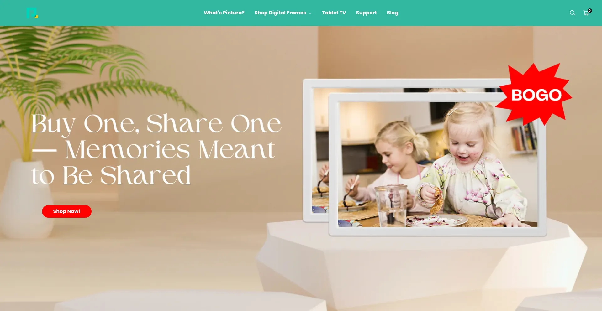 Website screenshot of Pinturalife.com