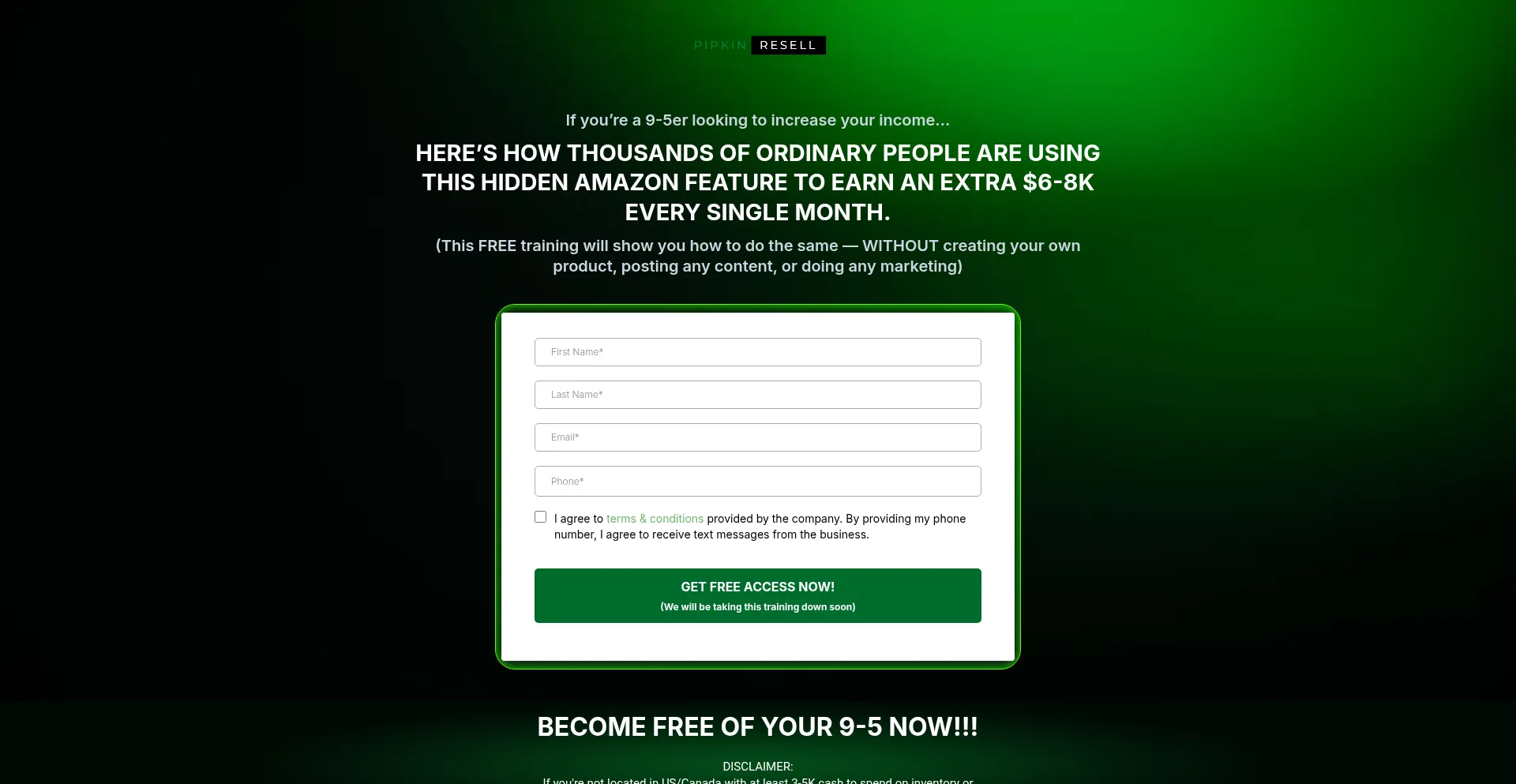 Website screenshot of Pipkinresellcoaching.com