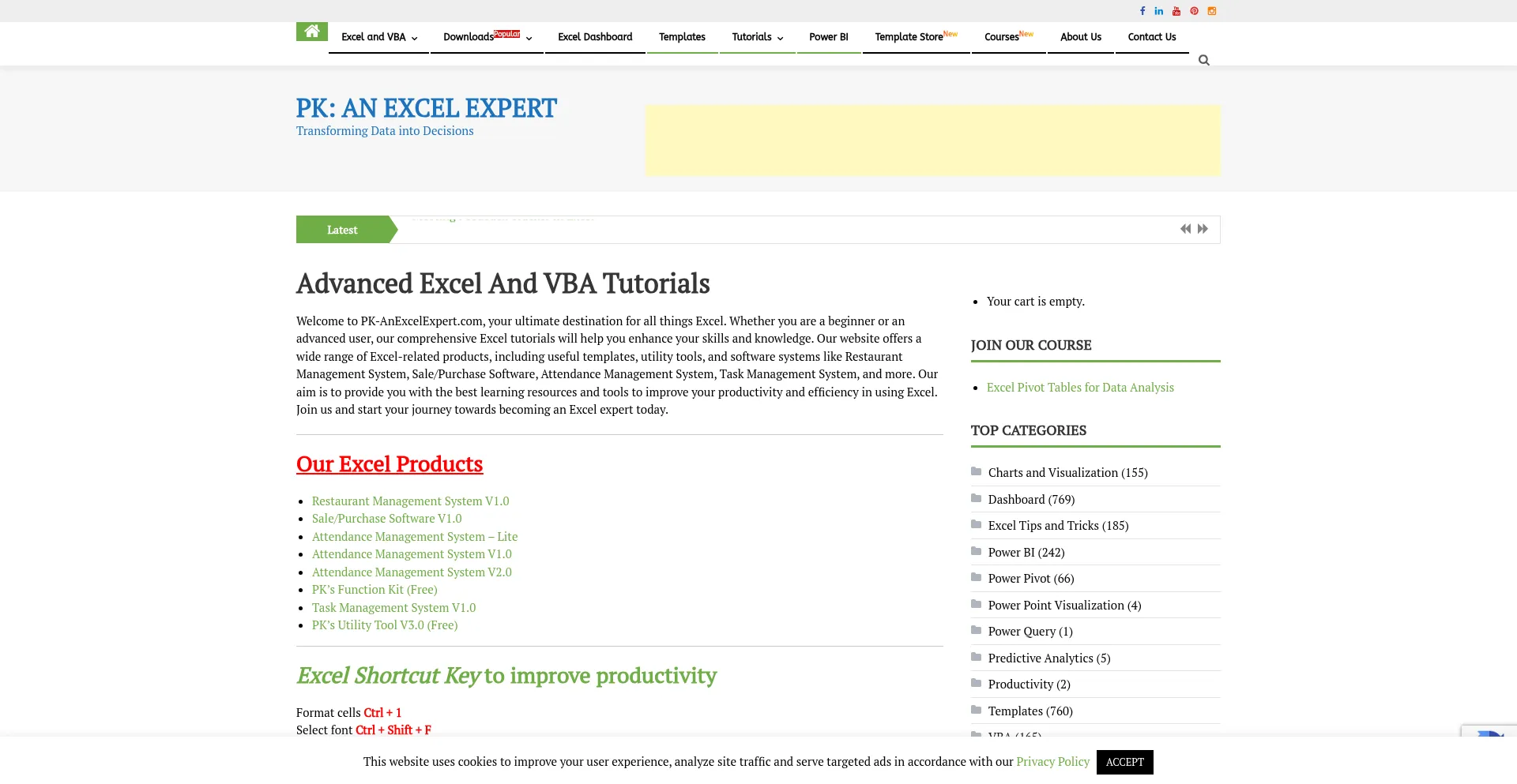 Website screenshot of Pk-anexcelexpert.com