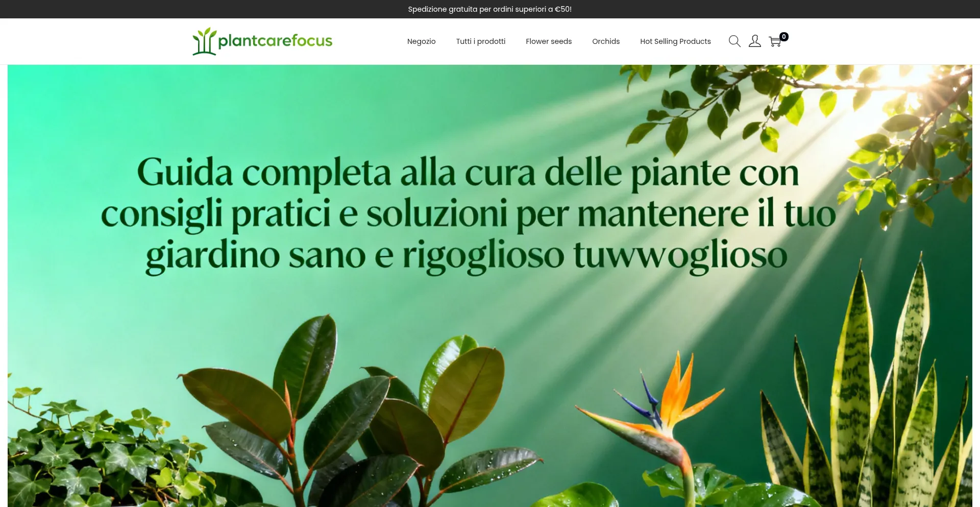 Plantcarefocus.com