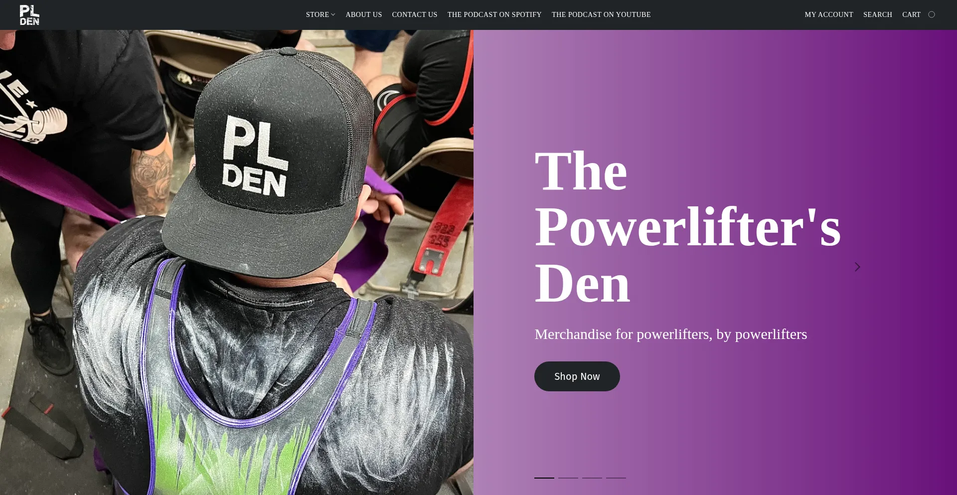 Plden.company.site Screenshot