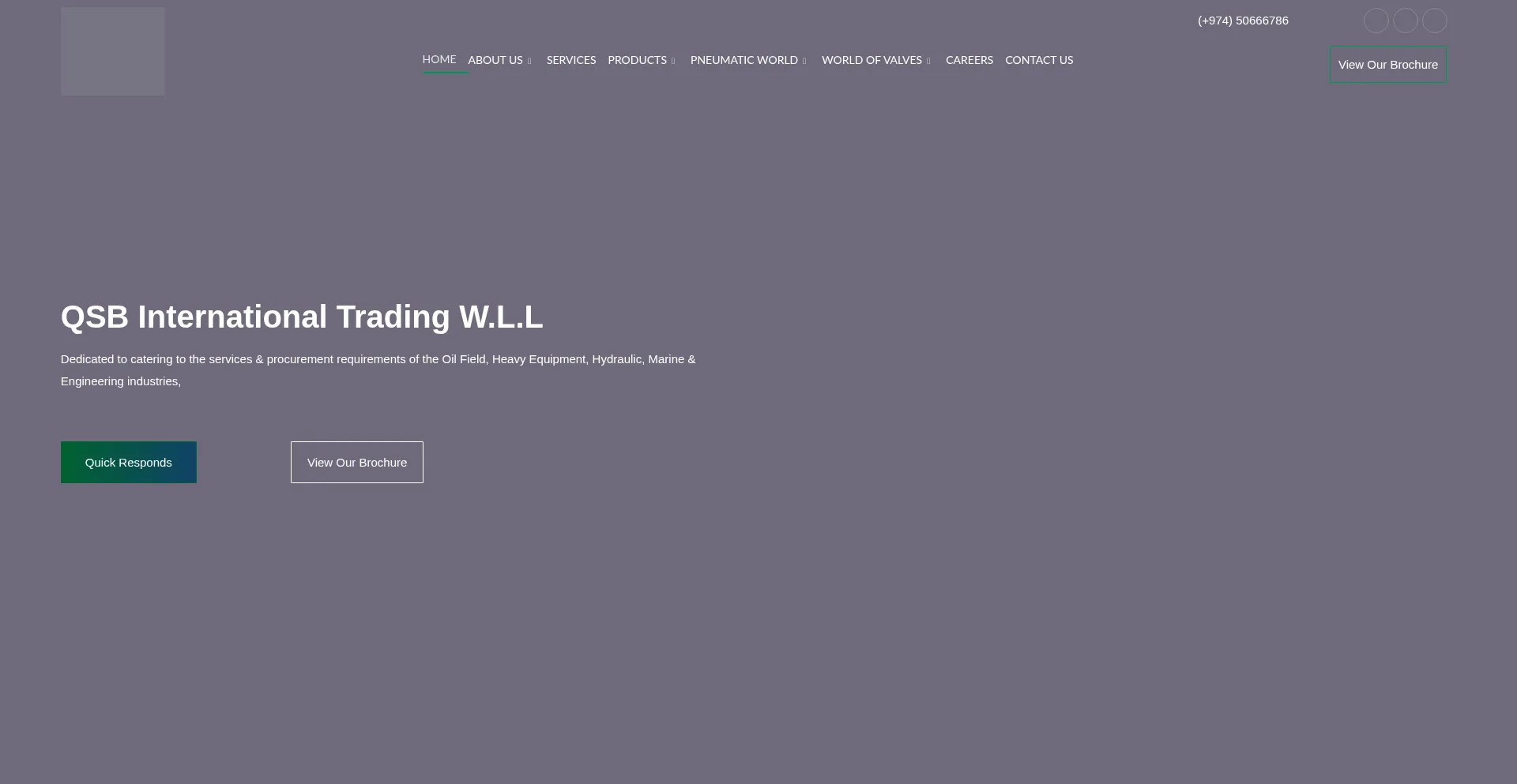Website screenshot of Pneumaticsqatar.com