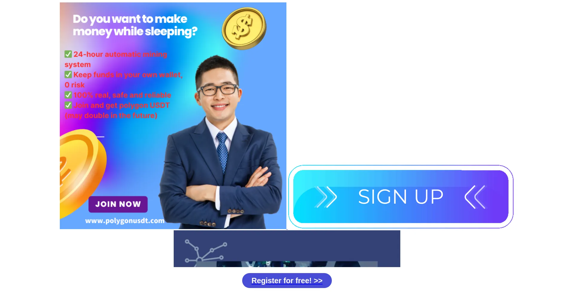 Website screenshot of Polygonusdt.vip