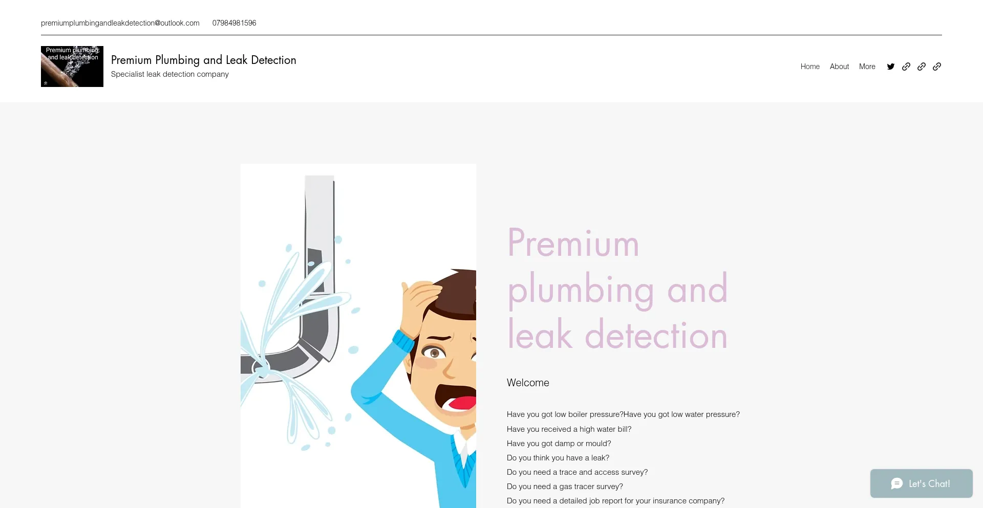 Premiumplumbingandleakdetection.com