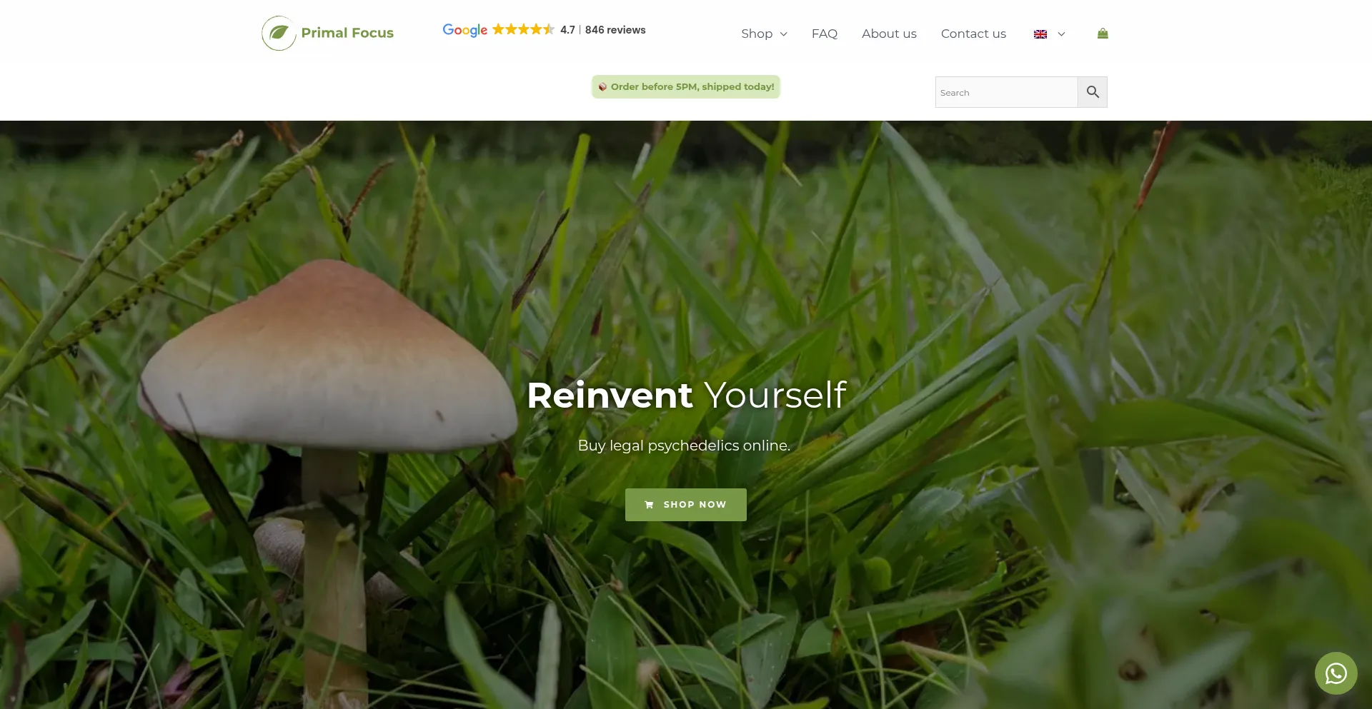 Website screenshot of Primalfocus.eu