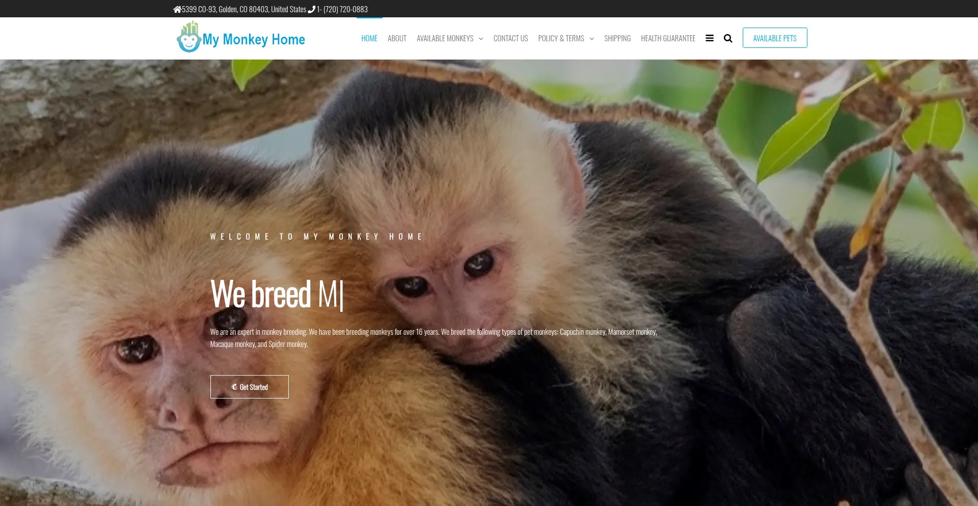 Primatehaven.com