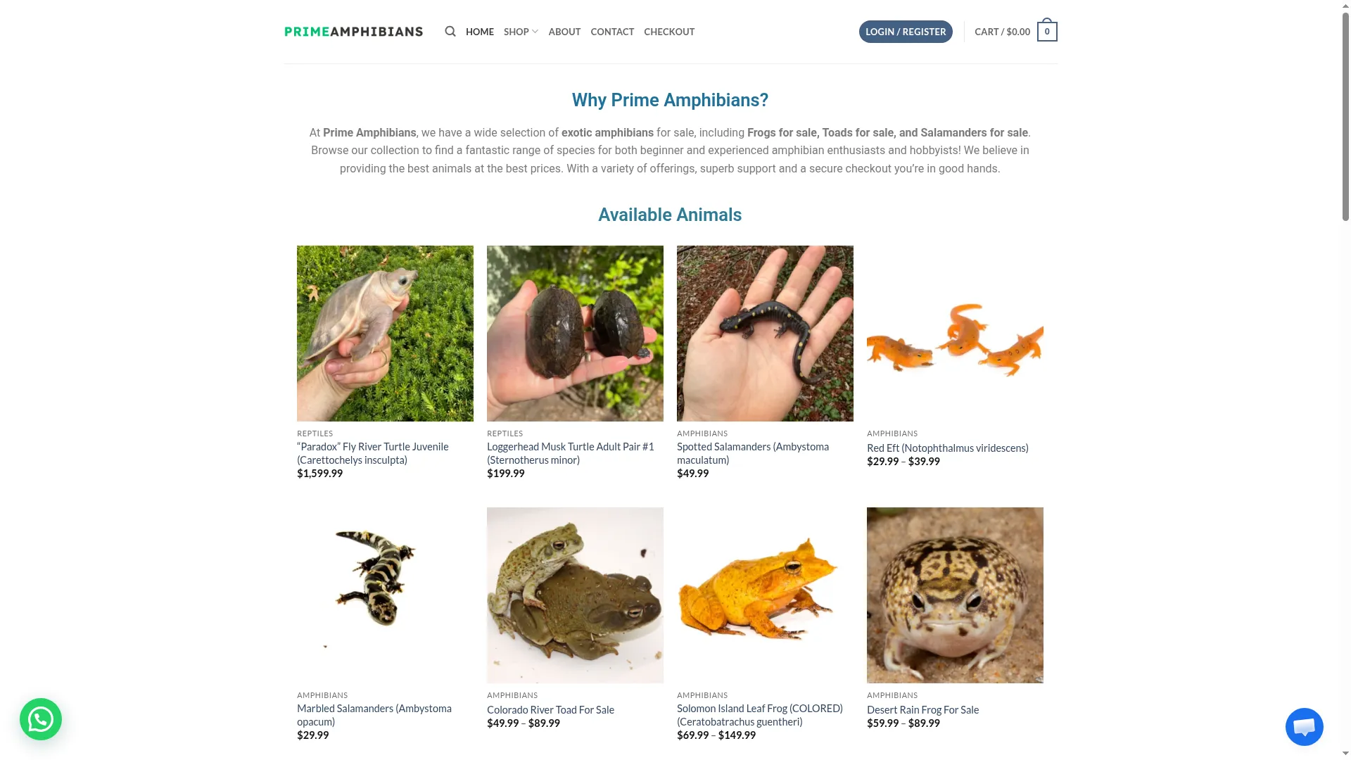Primeamphibians.com