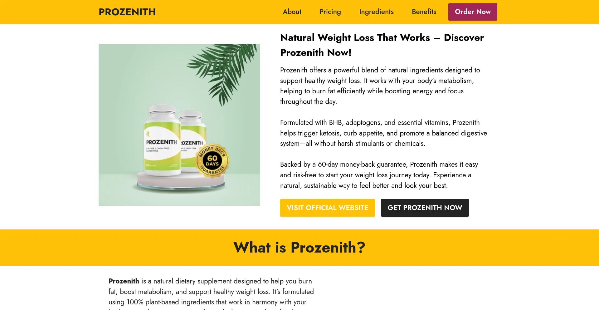 Website screenshot of Pro-prozenith.com