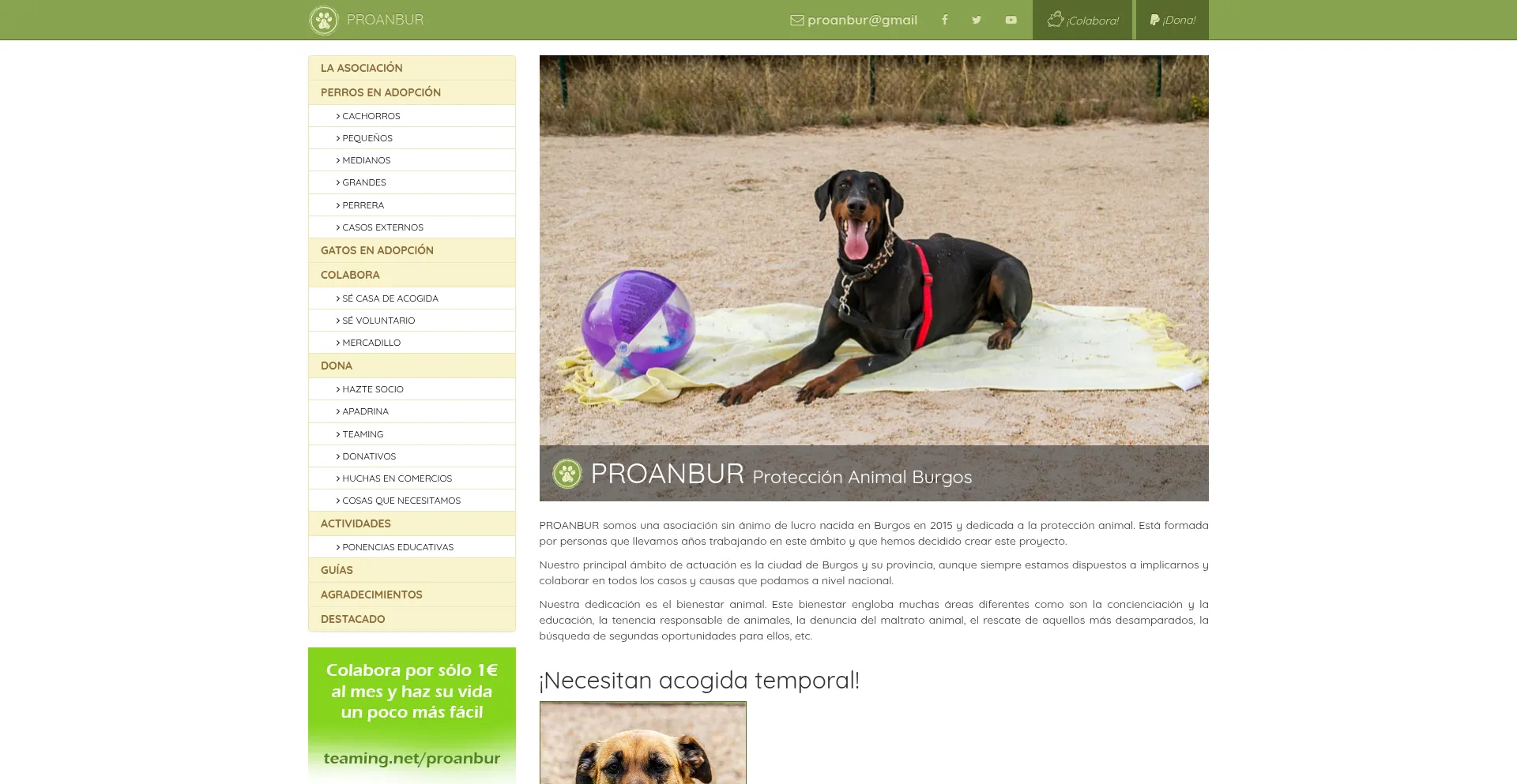 Proanbur.com est-il Sûr et Fiable ?