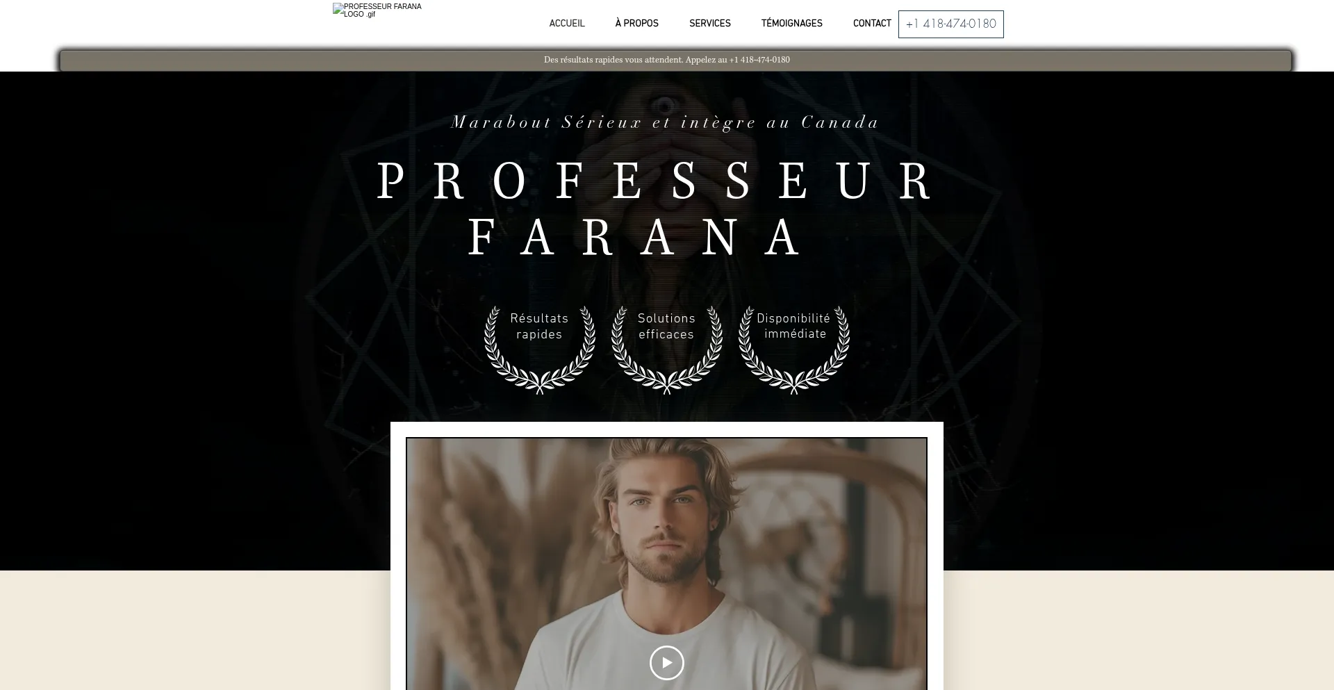 Website screenshot of Professeur-farana.ca