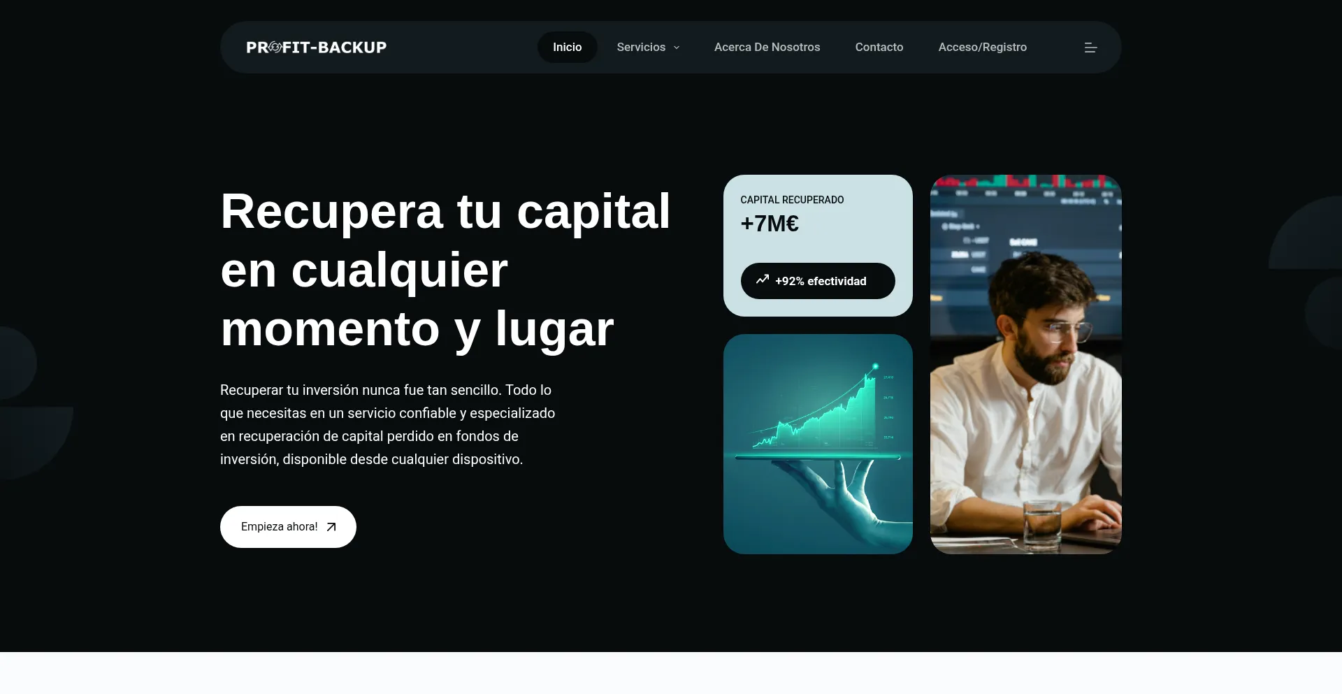 Website screenshot of Profit-backup.com